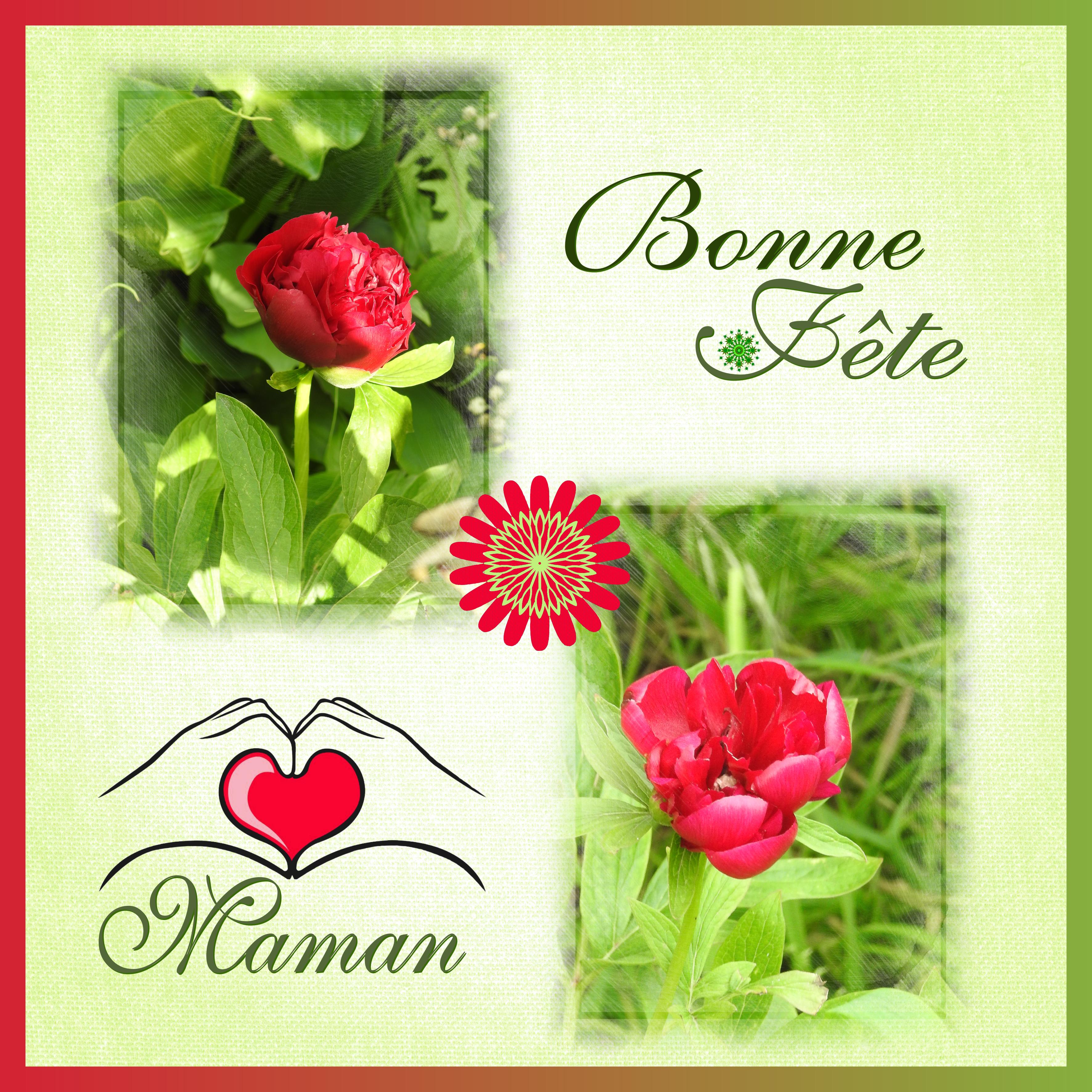 J-e87 - BONNE FETE MAMAN.jpg