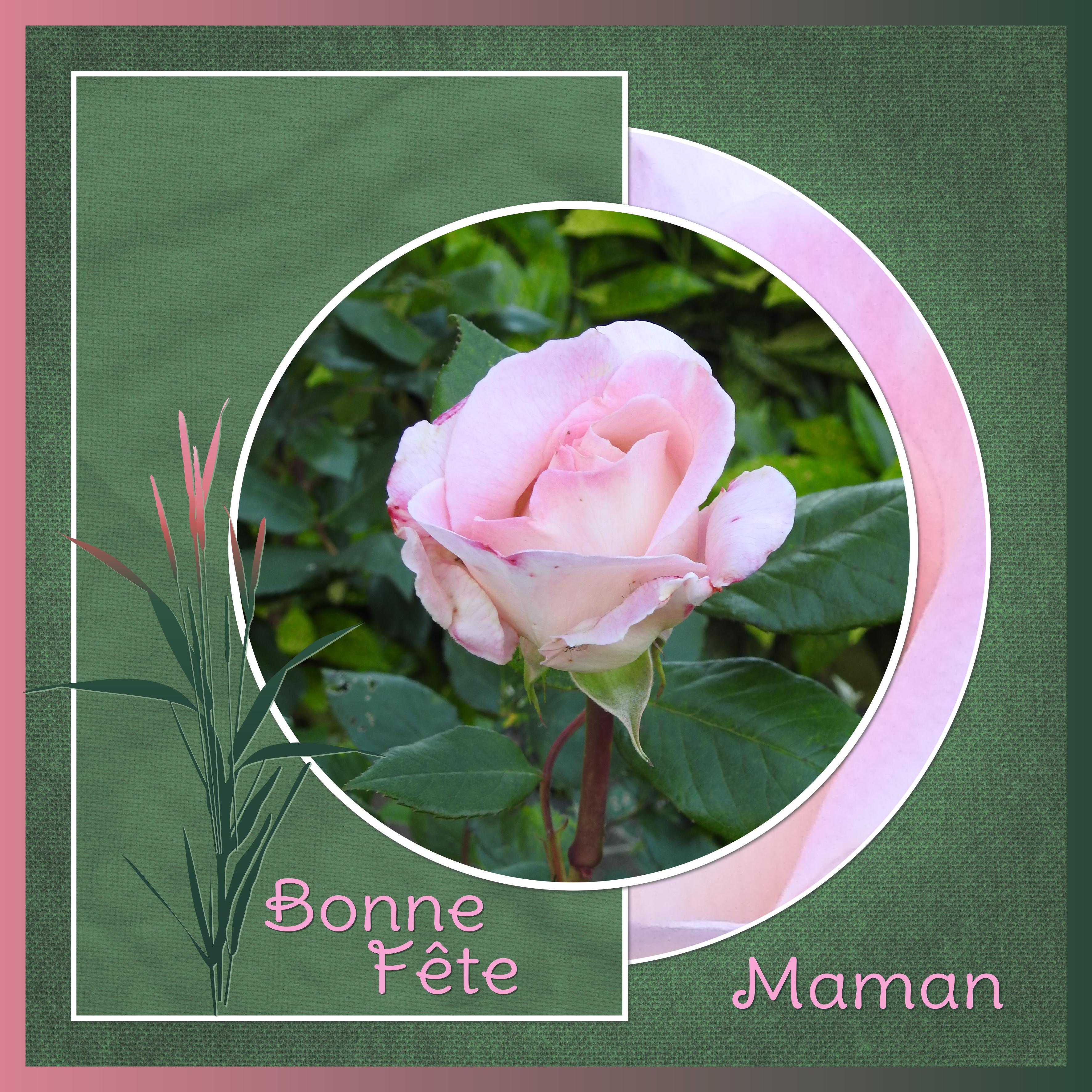 J-e89 - BONNE  FETE MAMAN.jpg