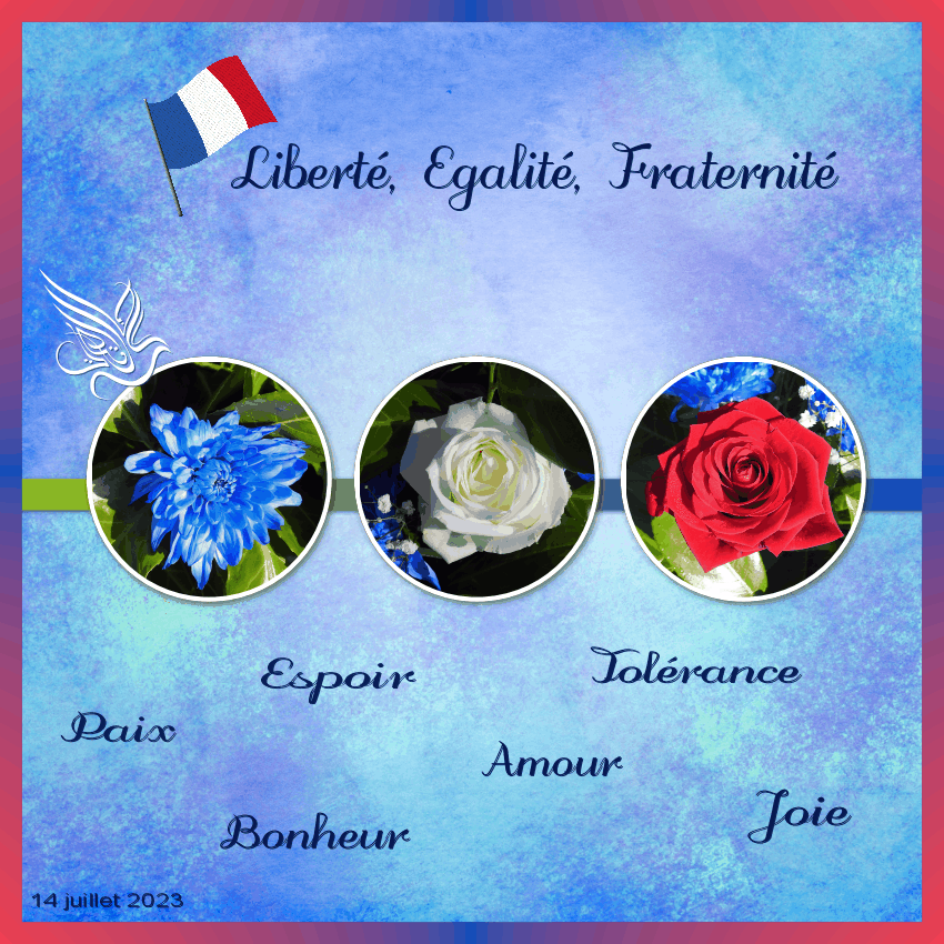 J-e90 - 14 JUILLET 2023.gif