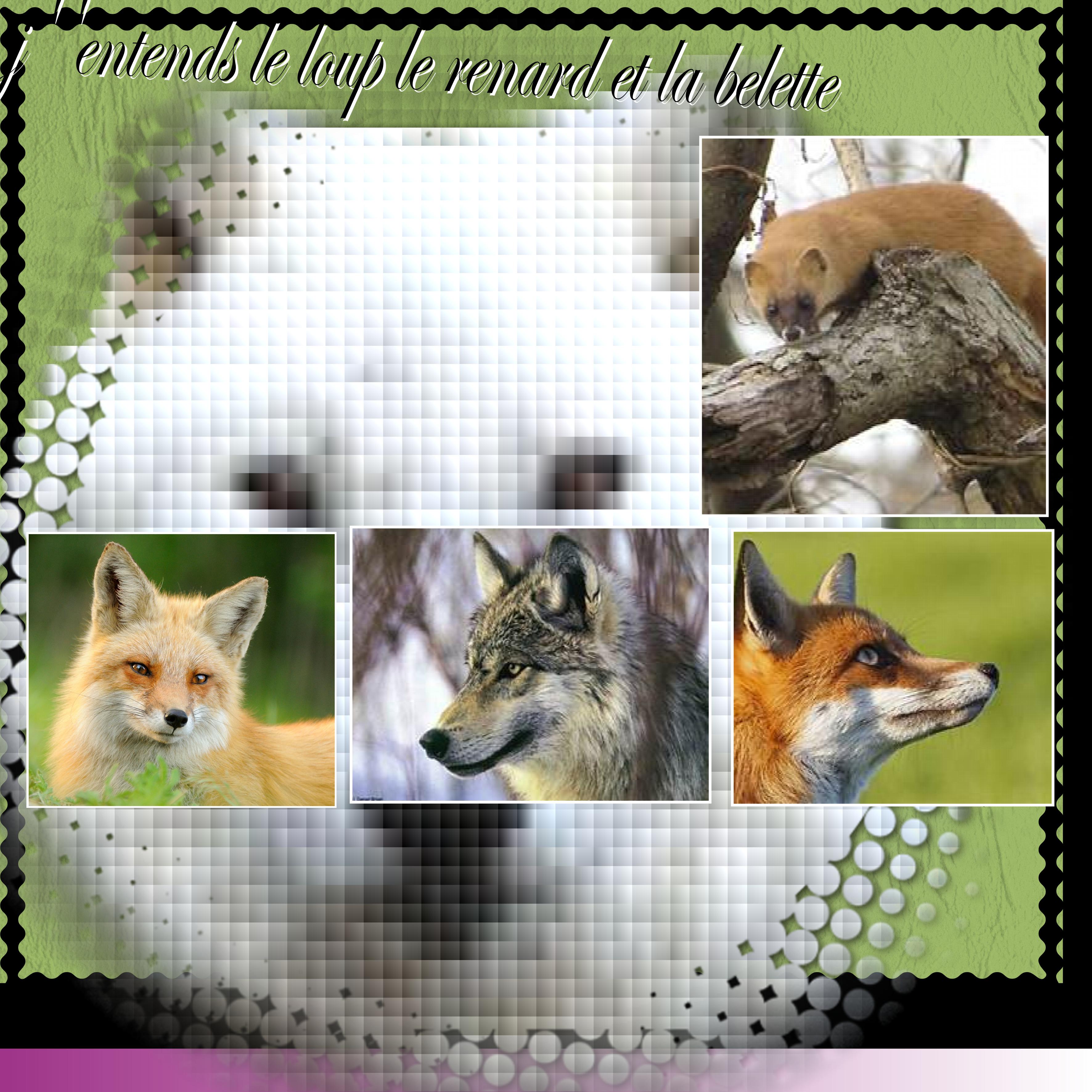j entends le loup le renard et la belette.jpg
