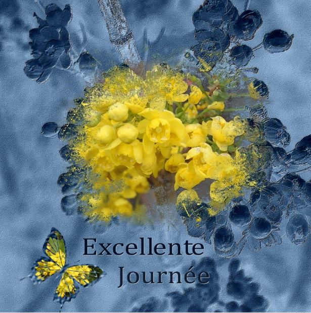 J - EXCELLENTE JOURNEE.jpg