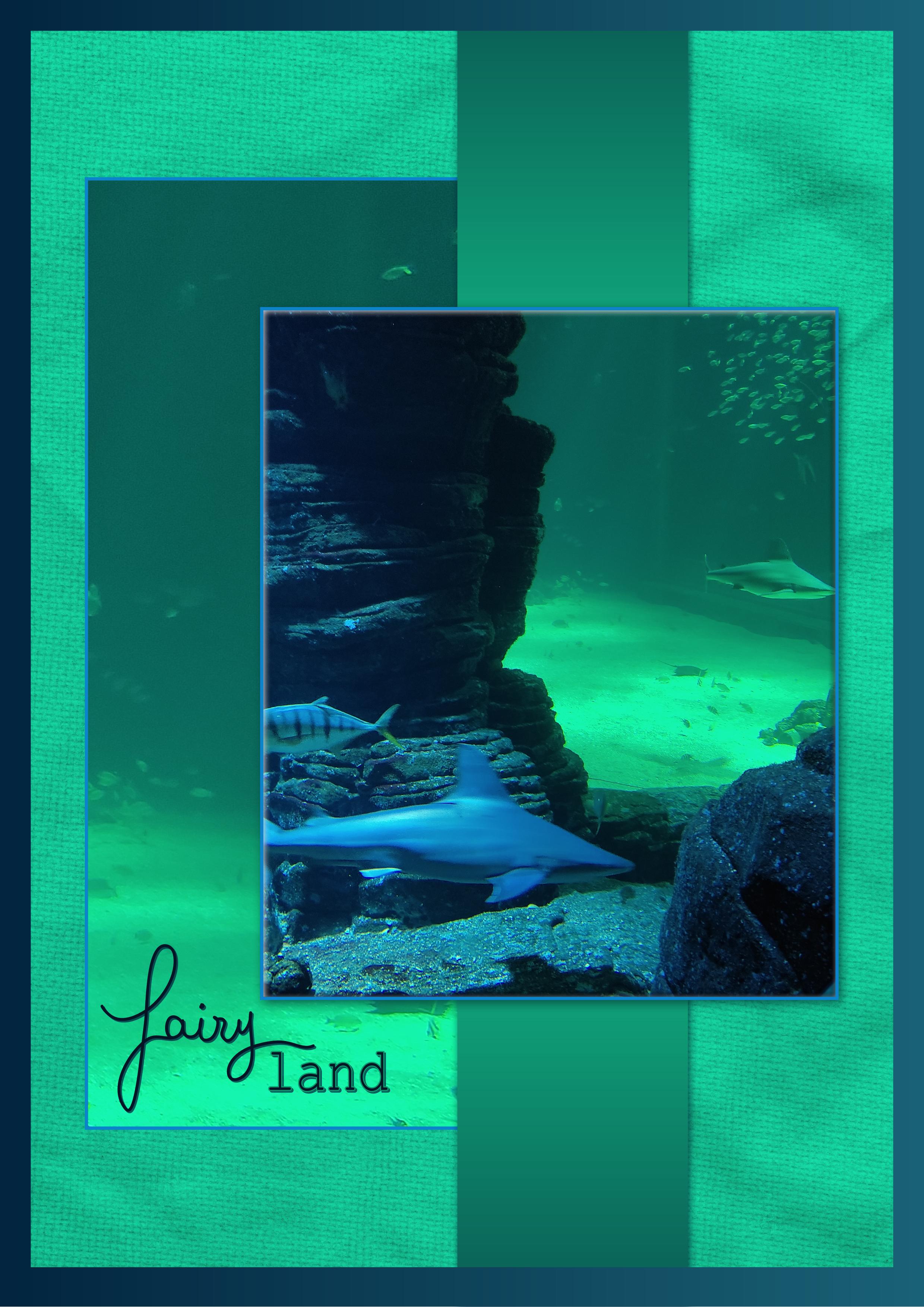 J - FAIRY LAND.jpg