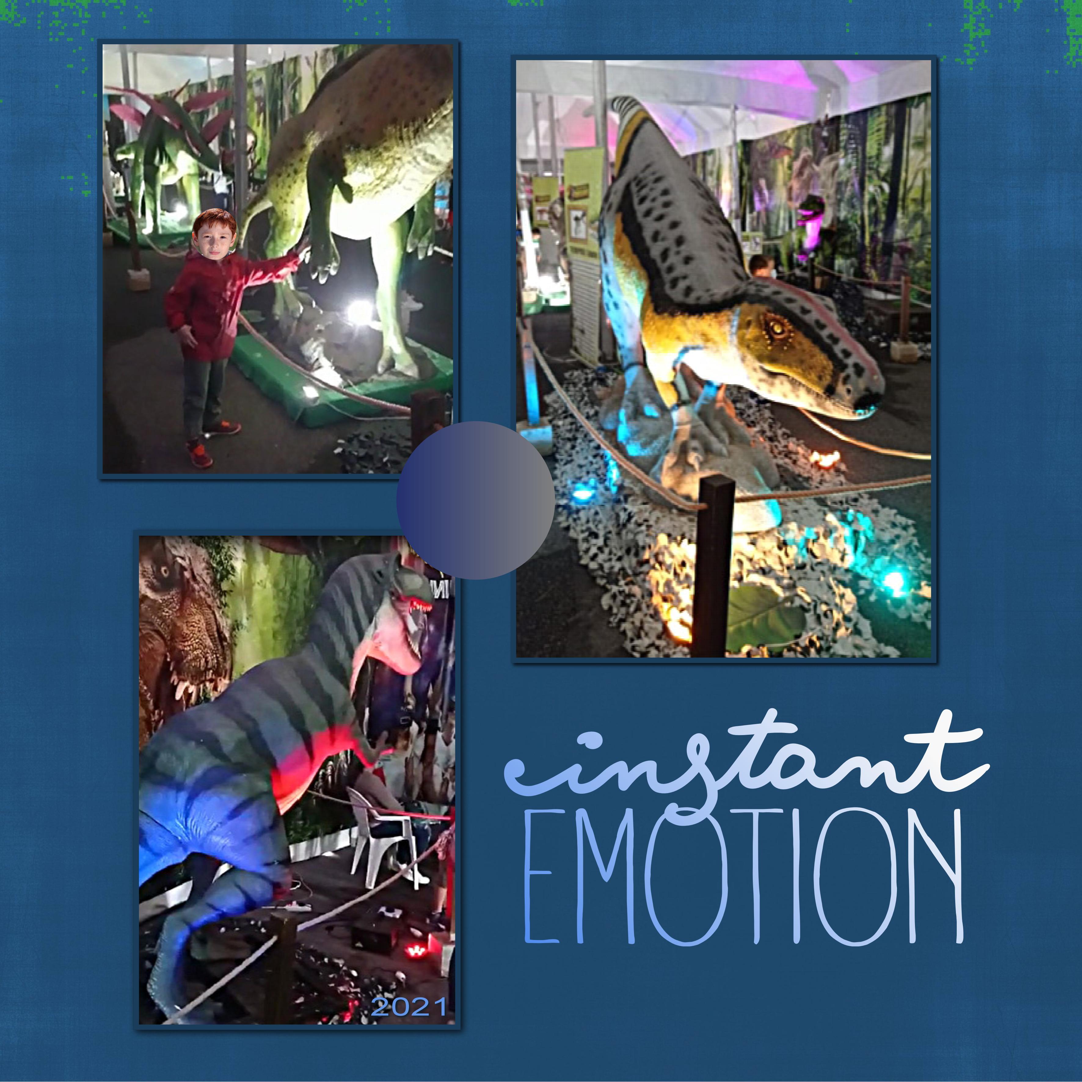 J - INSTANT D'EMOTION.jpg