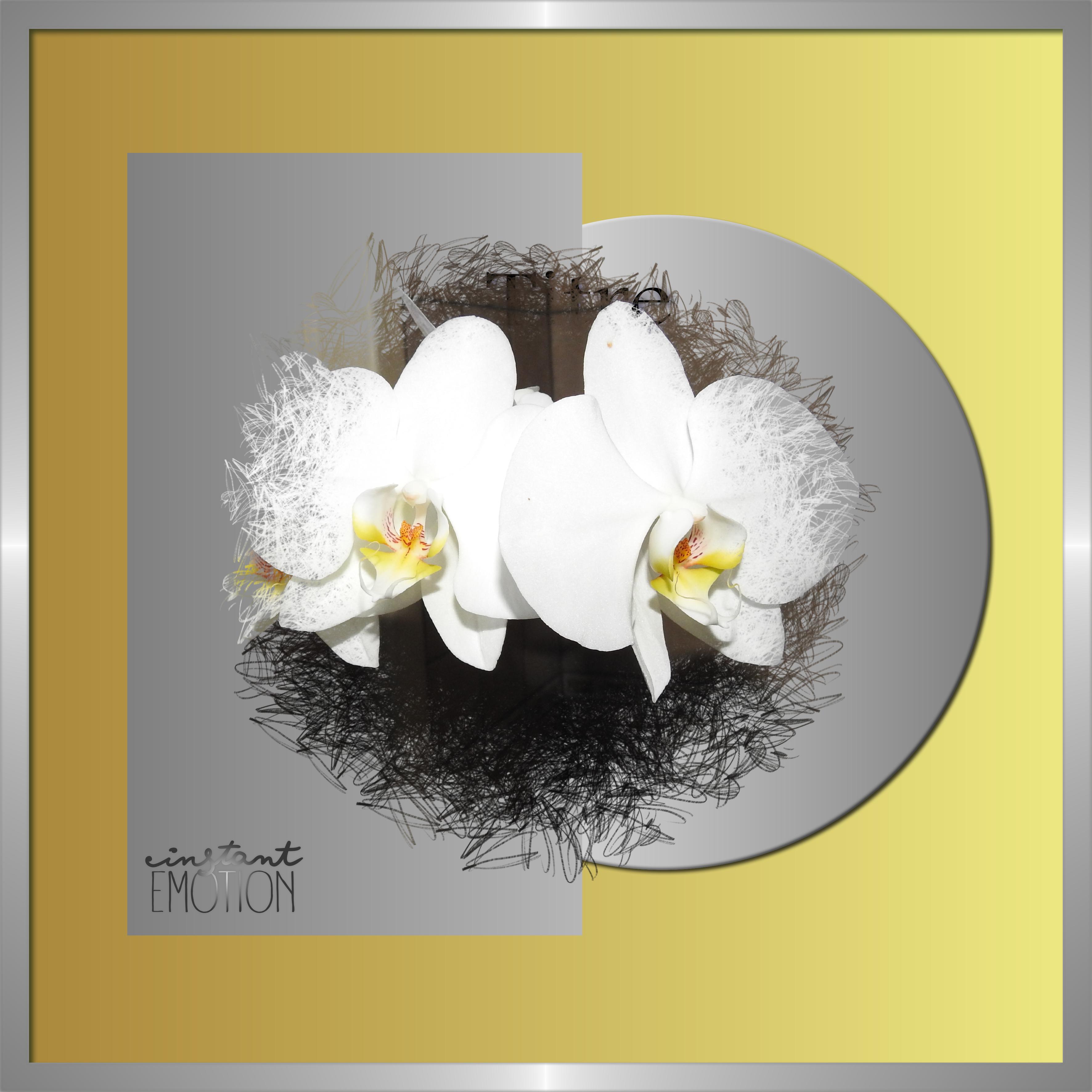 J - INSTANT EMOTION .jpg