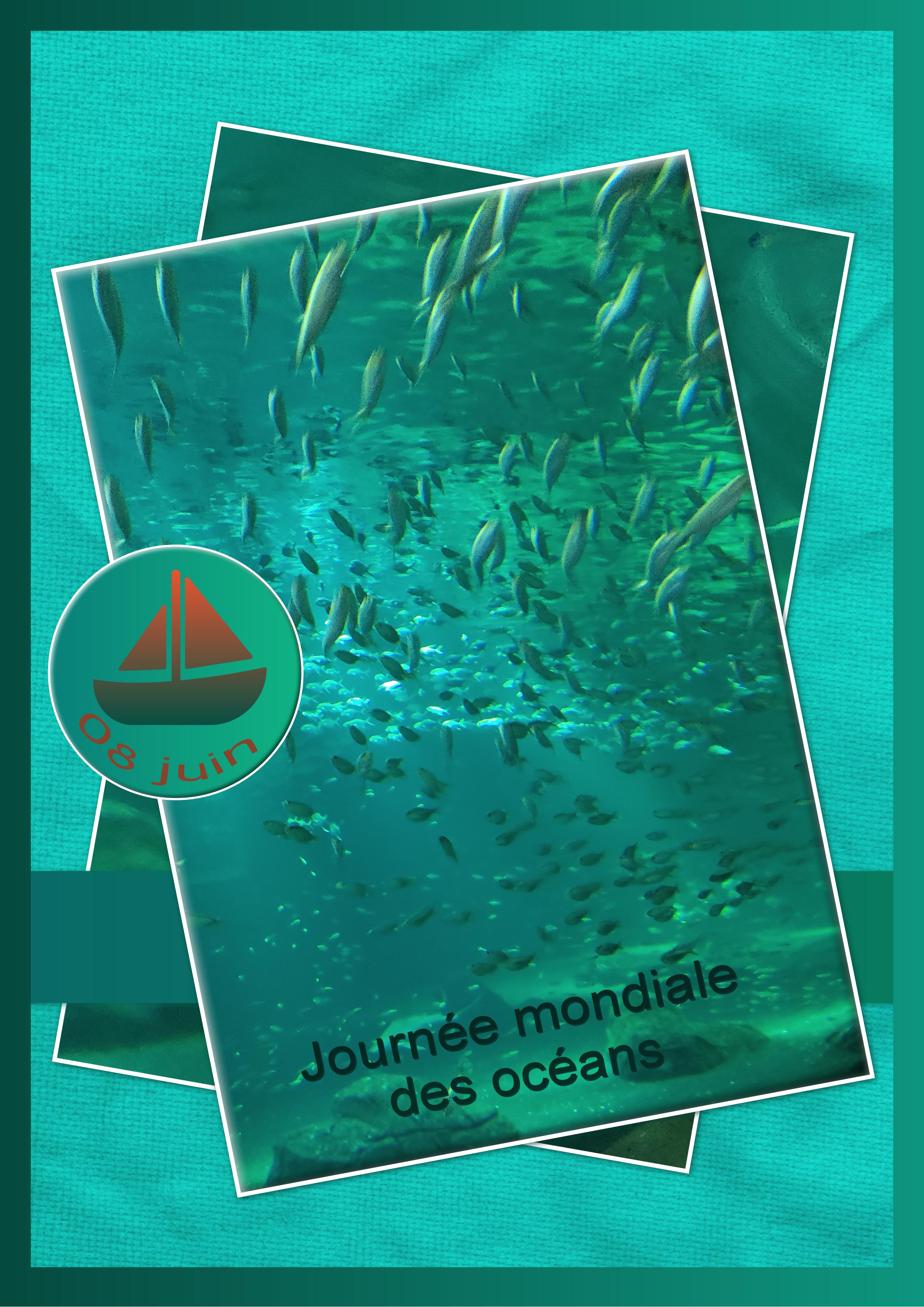 J - JOURNEE MONDIALE DES OCEANS.jpg