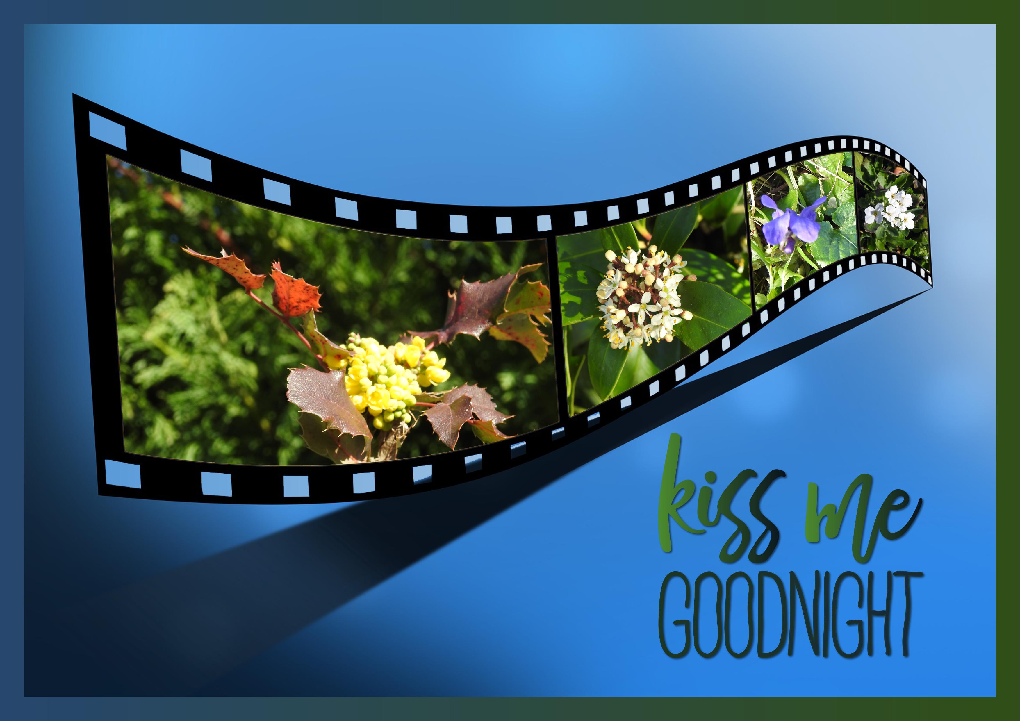 J - KISS ME - GOOD NIGHT.jpg