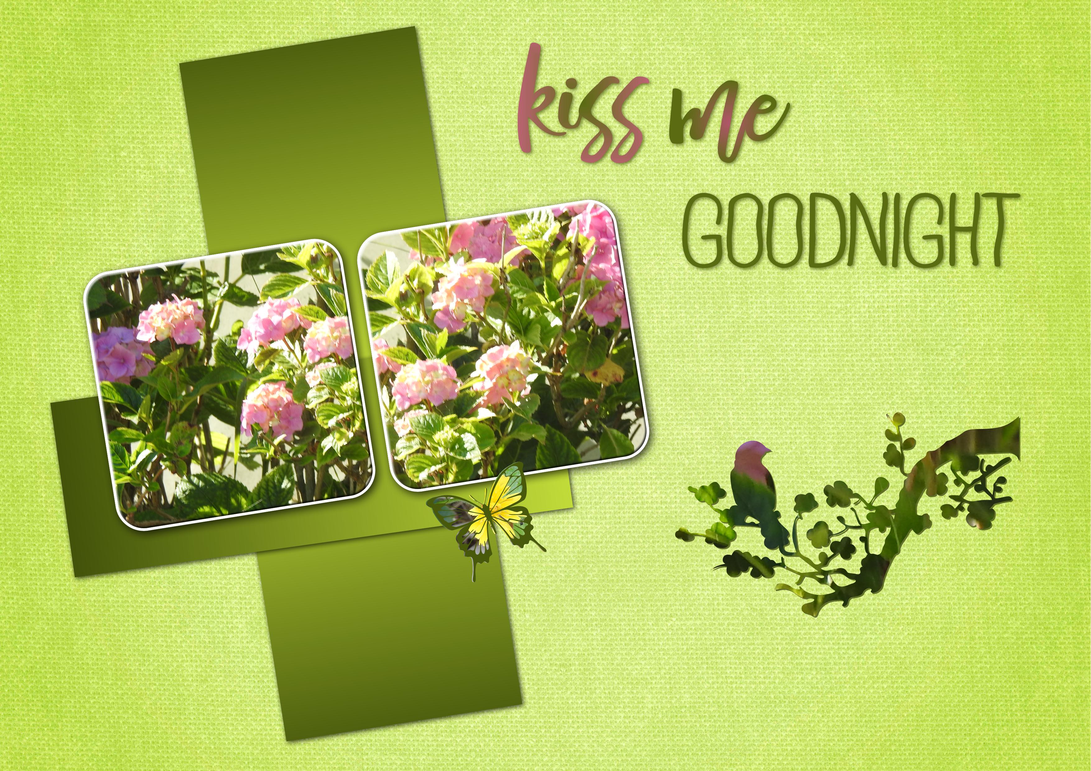 J - KISS ME GOOD NIGHT.jpg