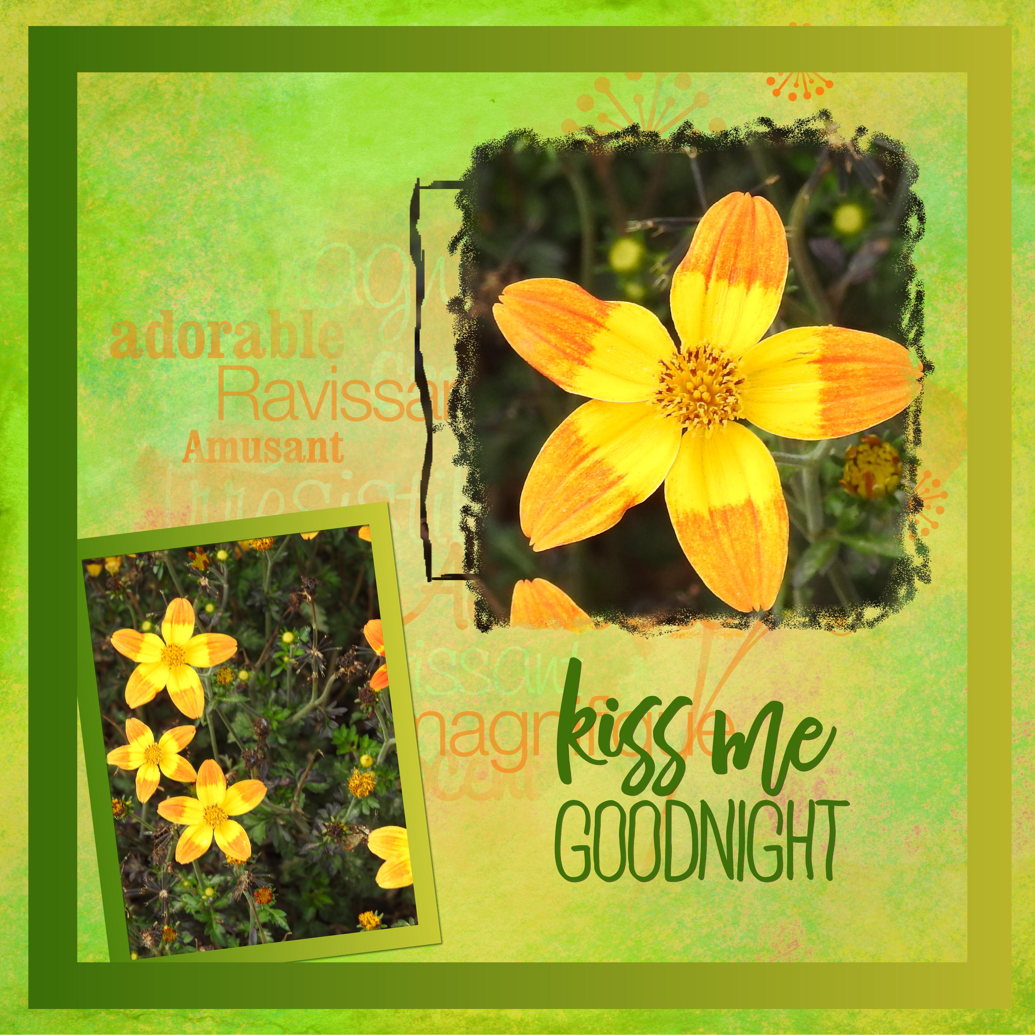 J - KISS ME GOOD NIGHT.jpg