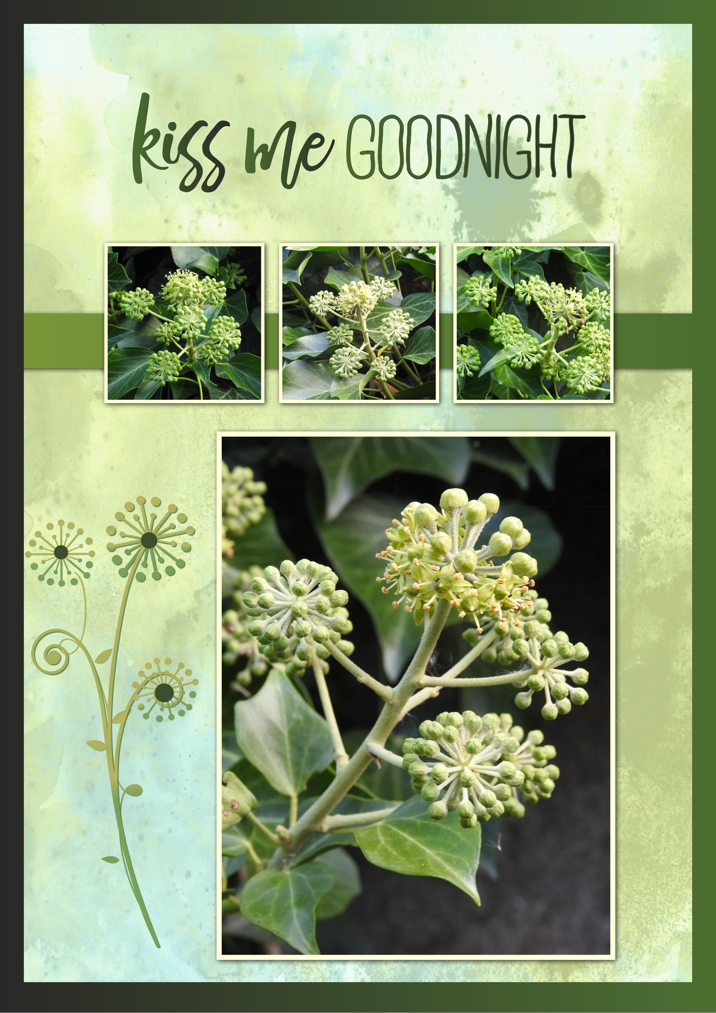 J - KISS ME GOOD NIGHT.jpg