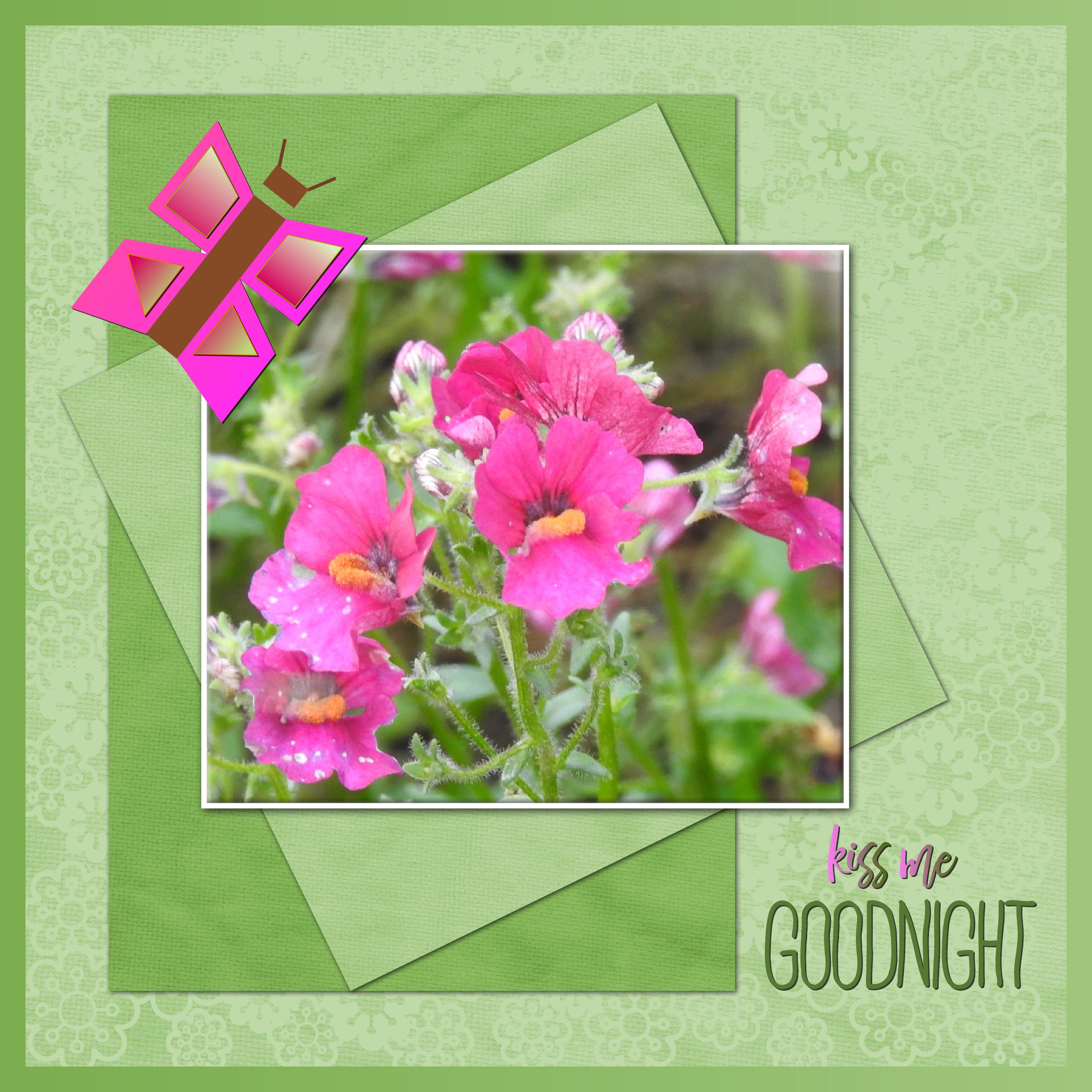 J - KISS ME GOOD NIGHT.jpg