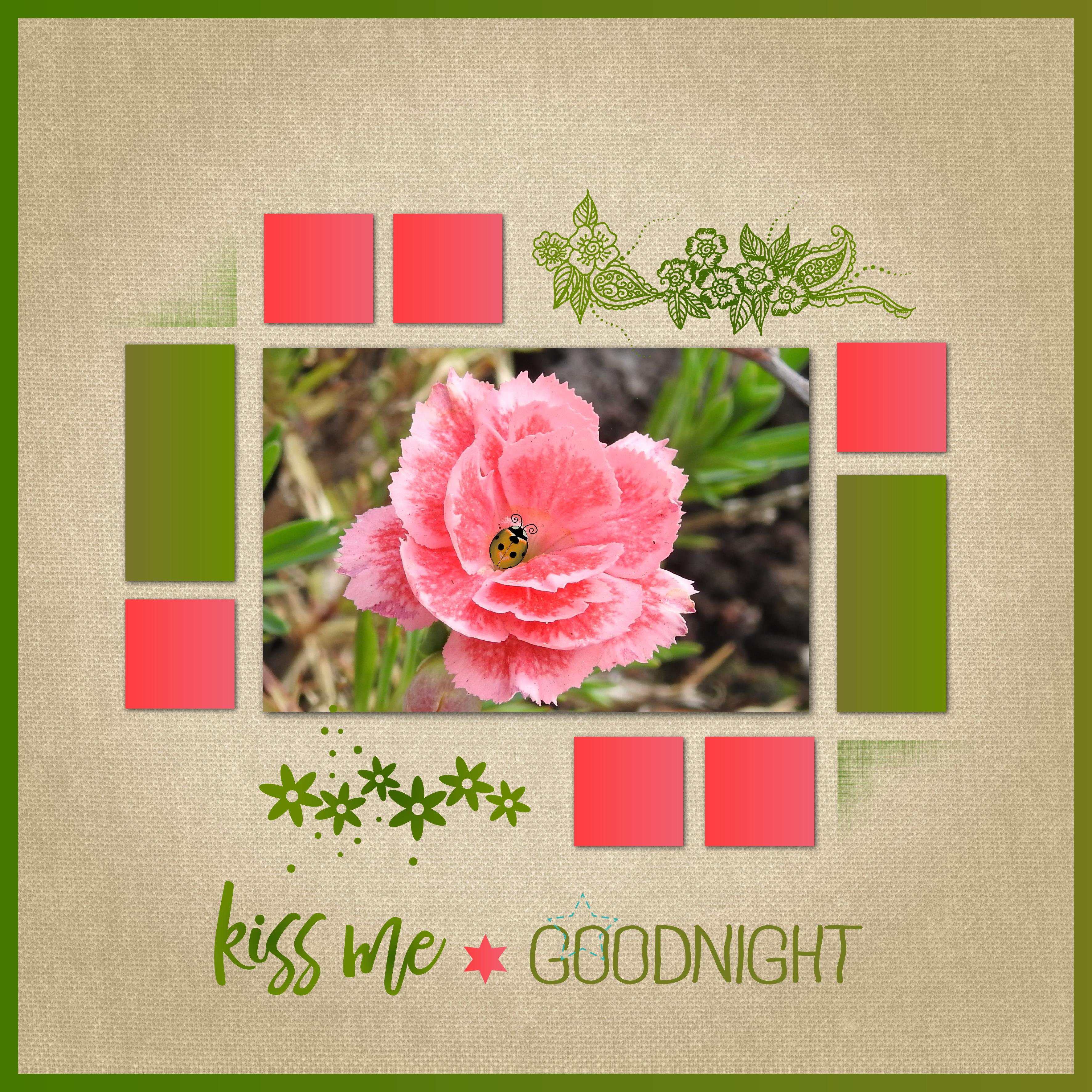 J - KISS ME GOOD NIGHT.jpg