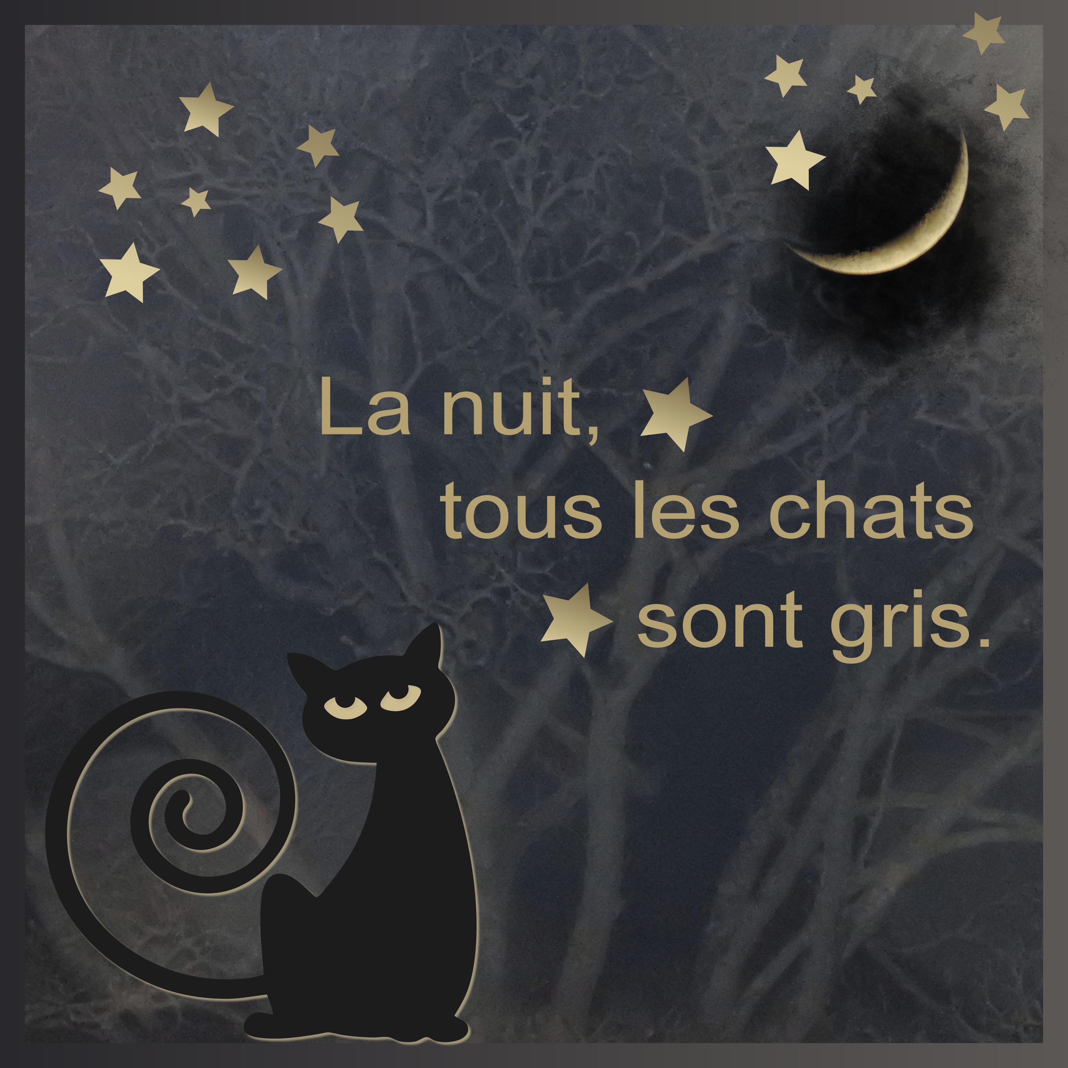 J - LA NUIT ... .jpg