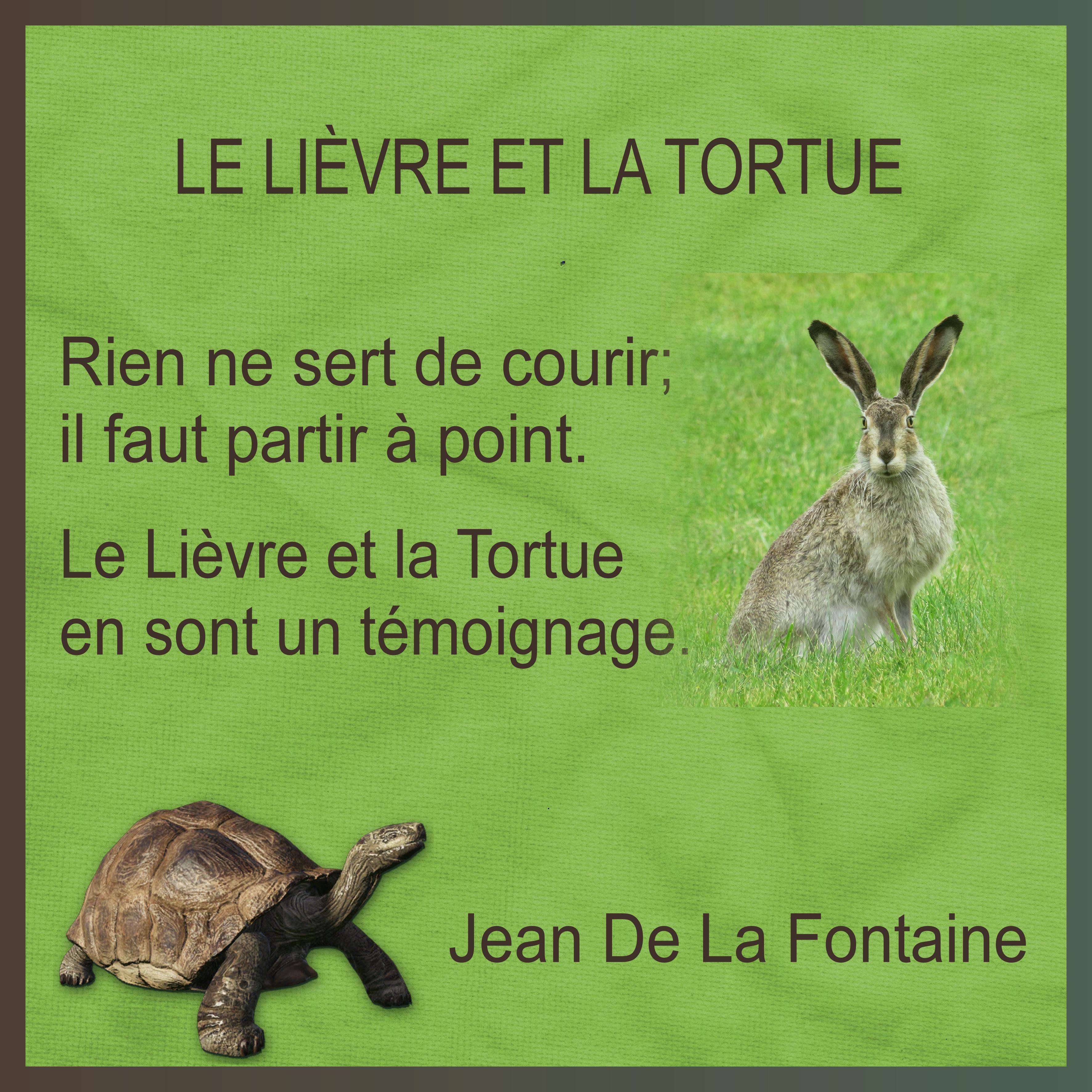 J - LE LIEVRE ET LA TORTUE.jpg