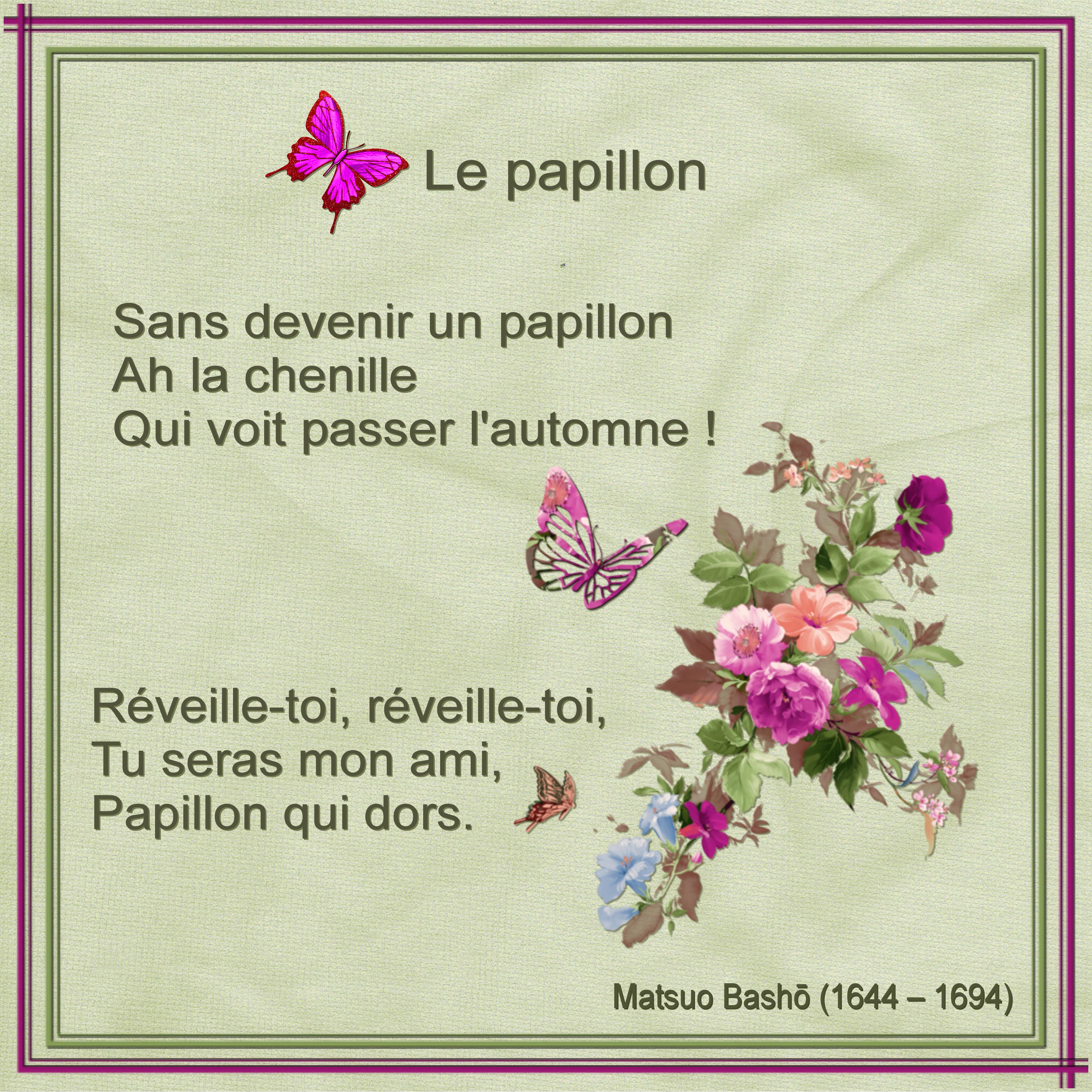 J - LE PAPILLON.jpg