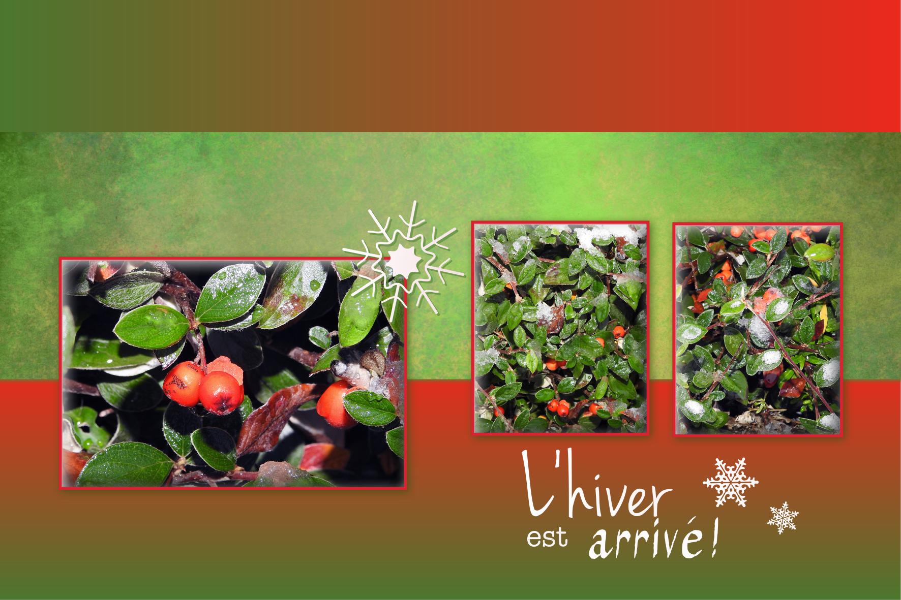 J - L'HIVER EST ARRIVE.jpg