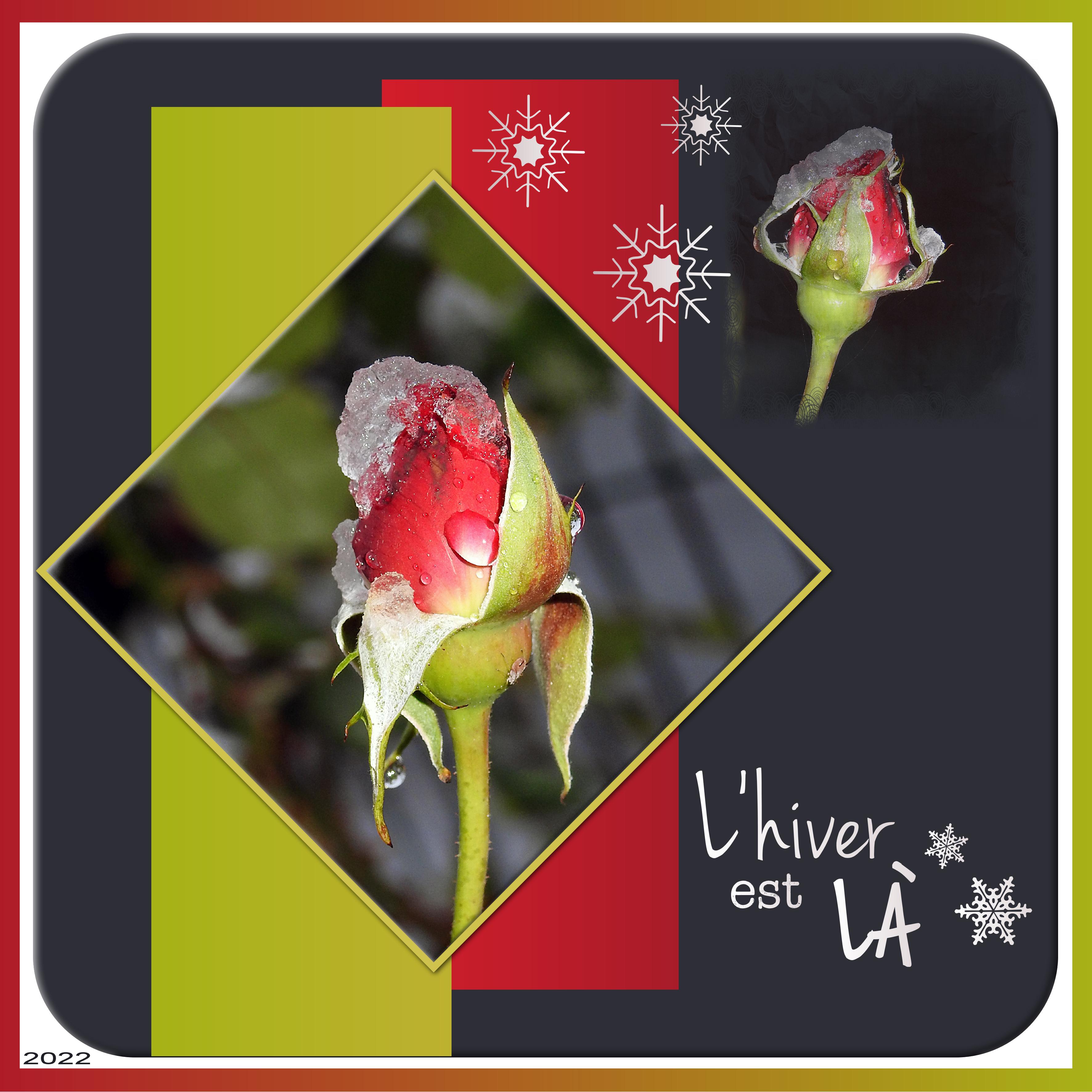 J - L'HIVER EST LA.jpg