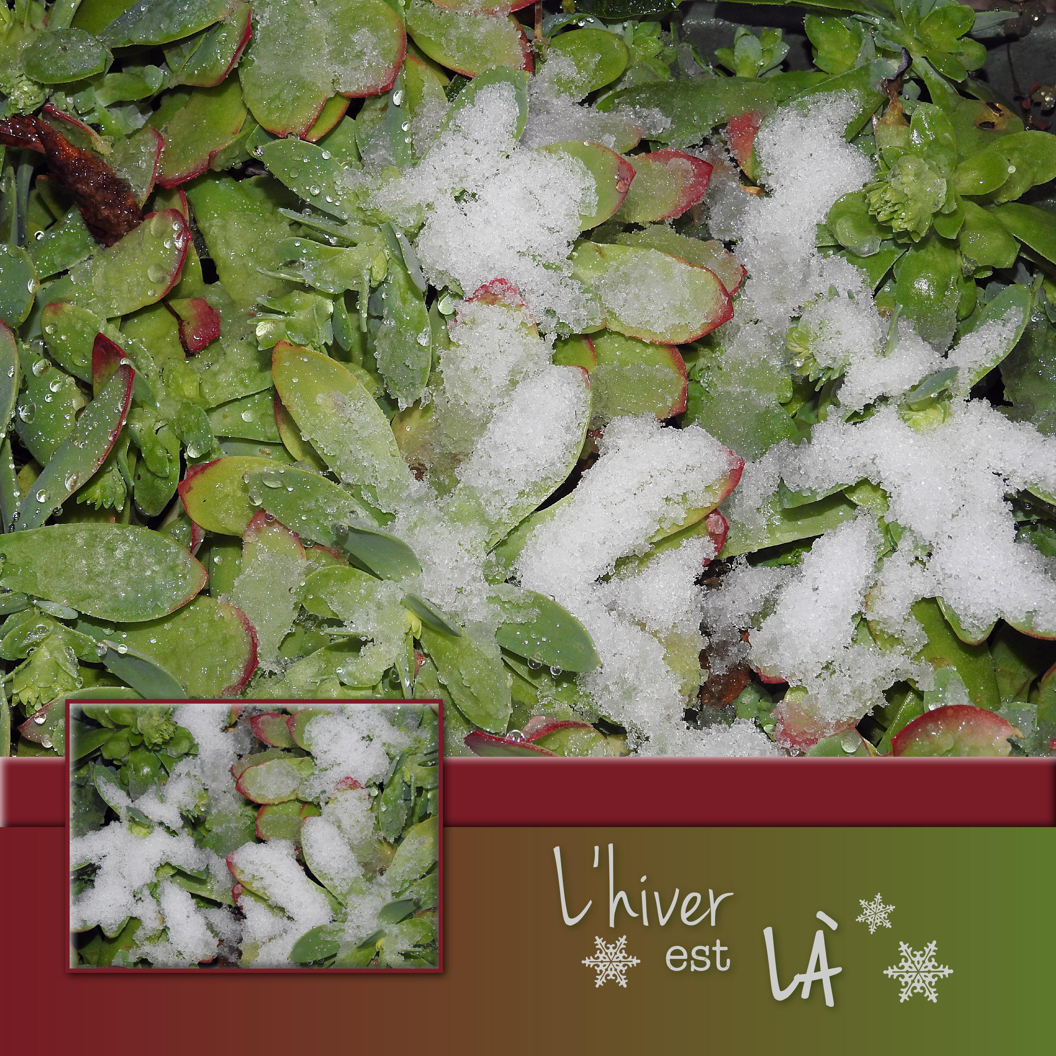 J - L'HIVER EST LA.jpg