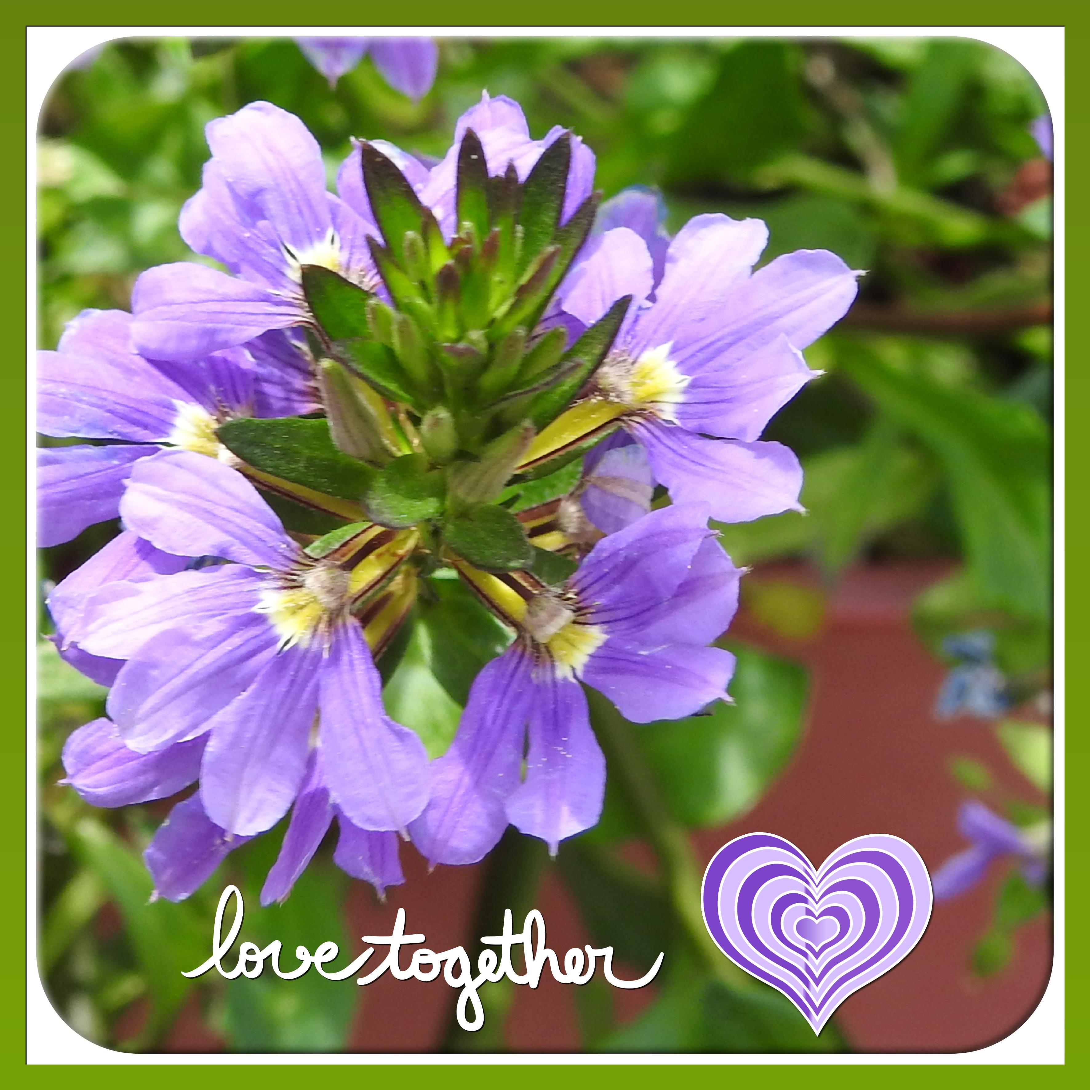 J - LOVE TOGETHER.jpg