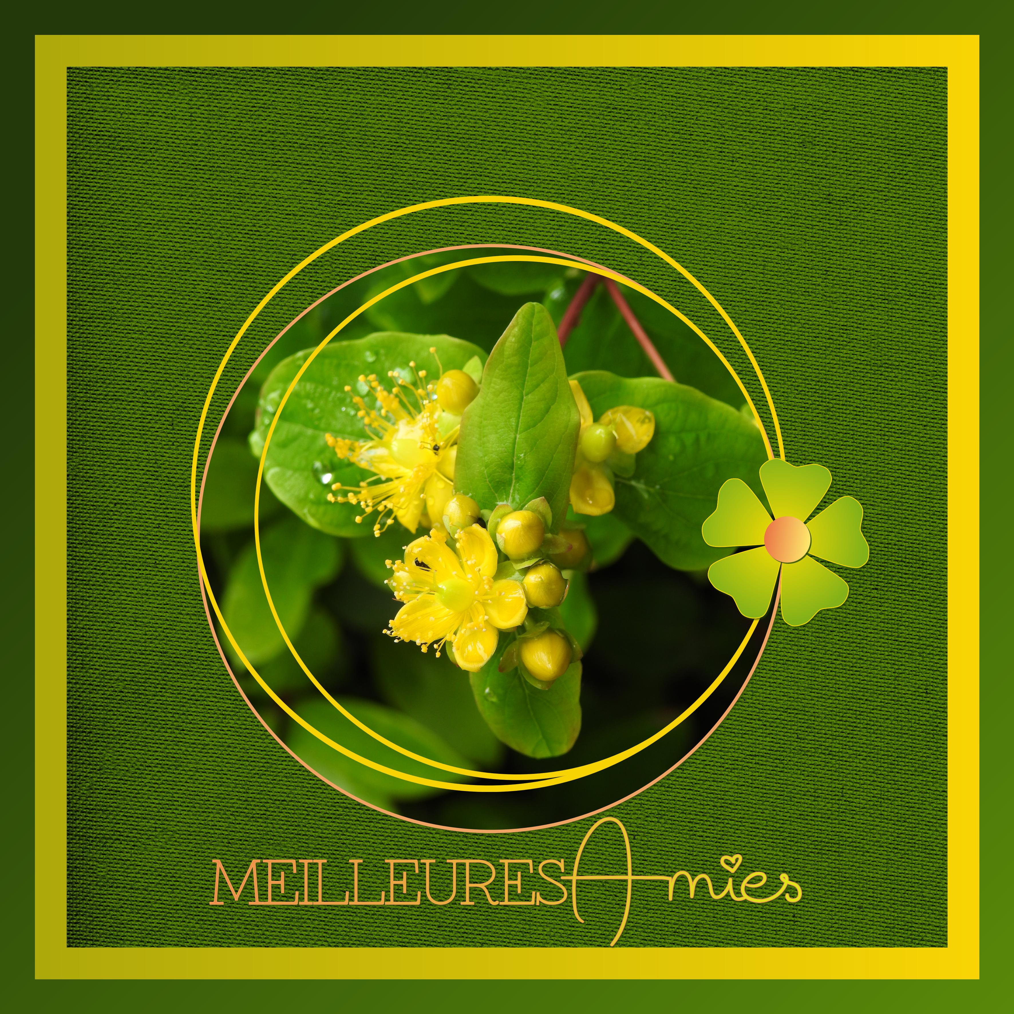 J - MEILLEURES AMIES.jpg