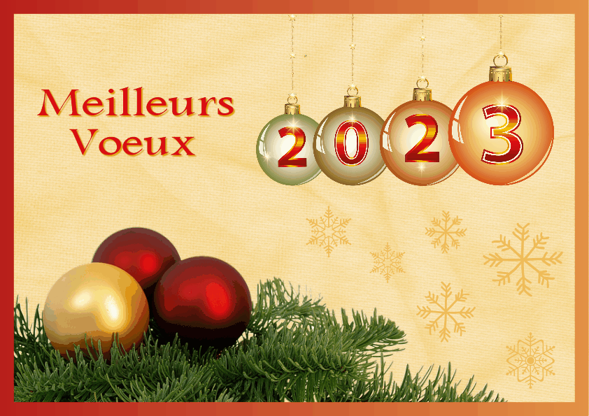 J - MEILLEURS VOEUX 2023.gif