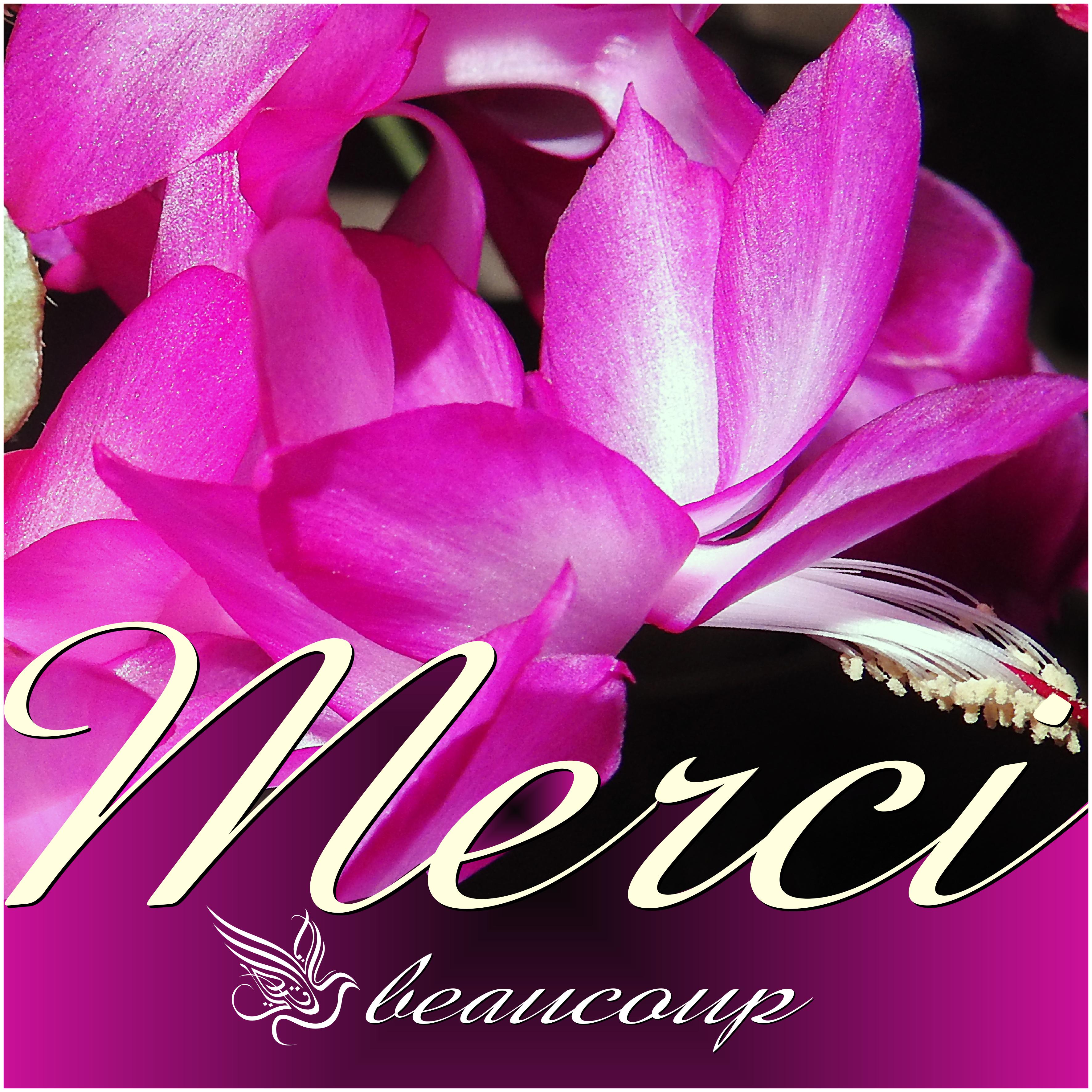 J - MERCI BEAUCOUP.jpg