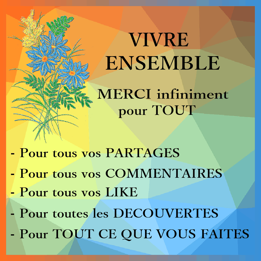 Les Petits Papiers De Pimprenelle: Merci Infiniment