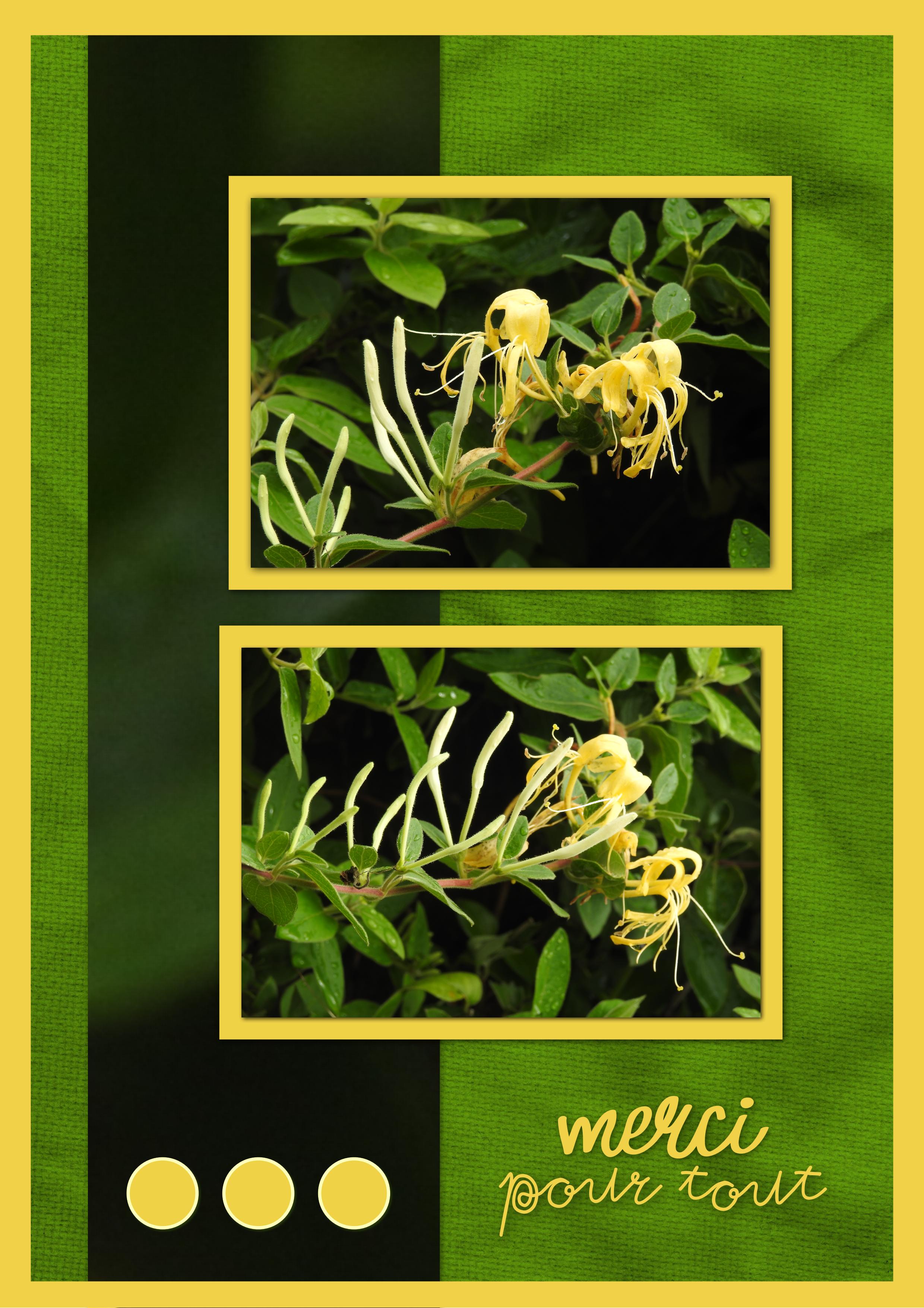 J - MERCI POUR TOUT.jpg