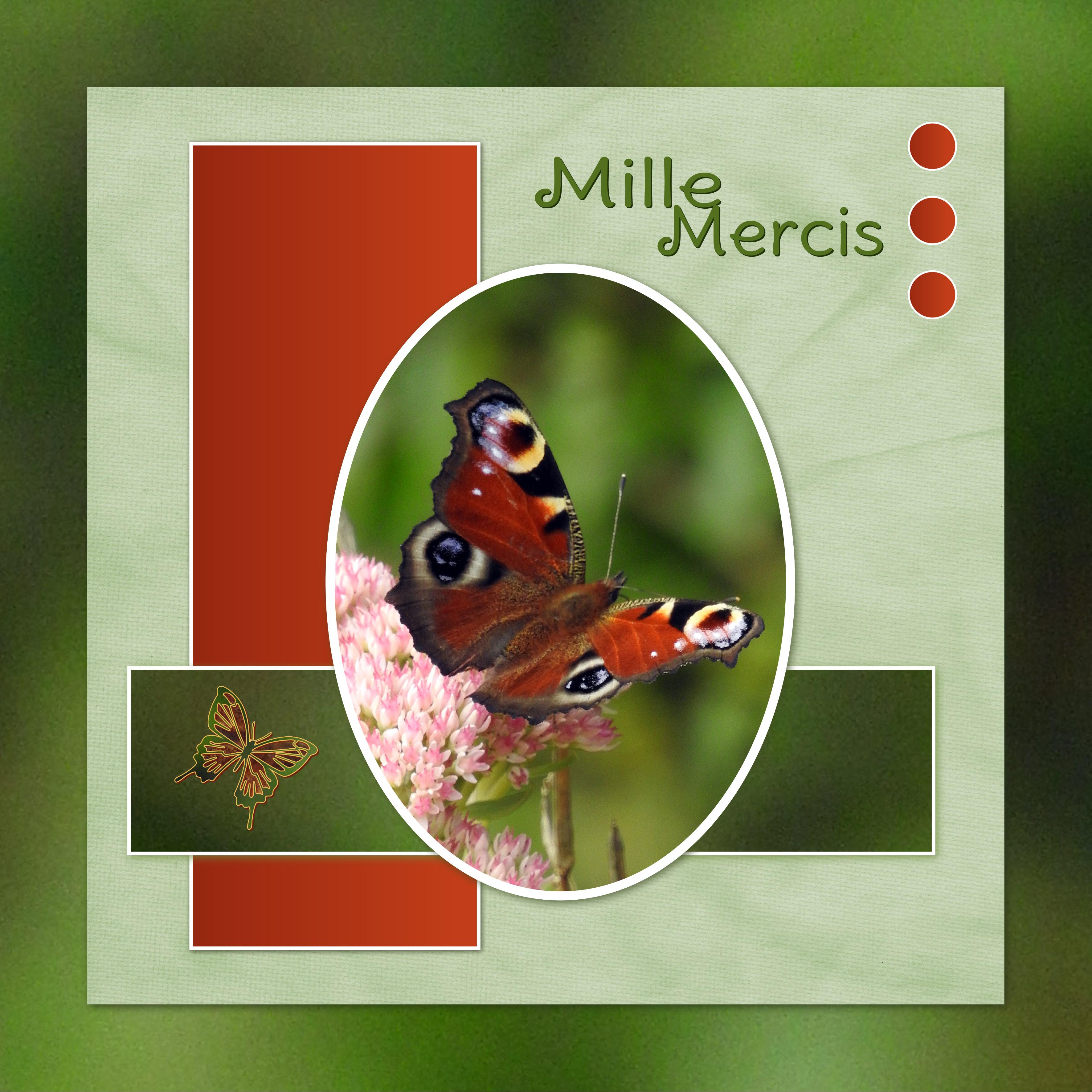 J - MILLE MERCIS.jpg