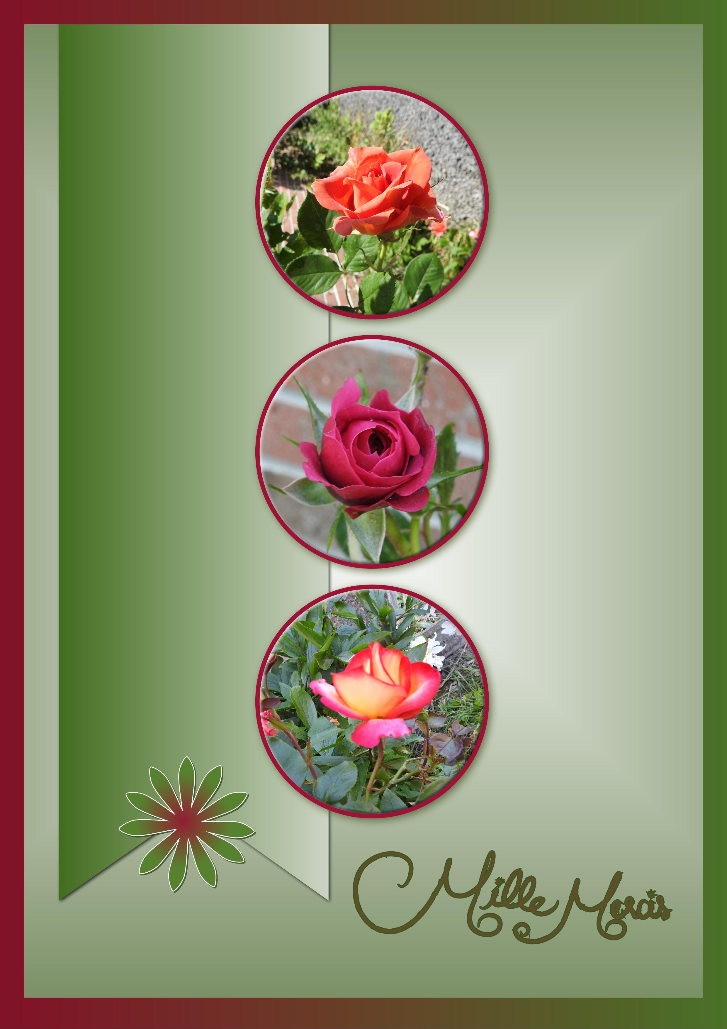 J - MILLE MERCIS.jpg