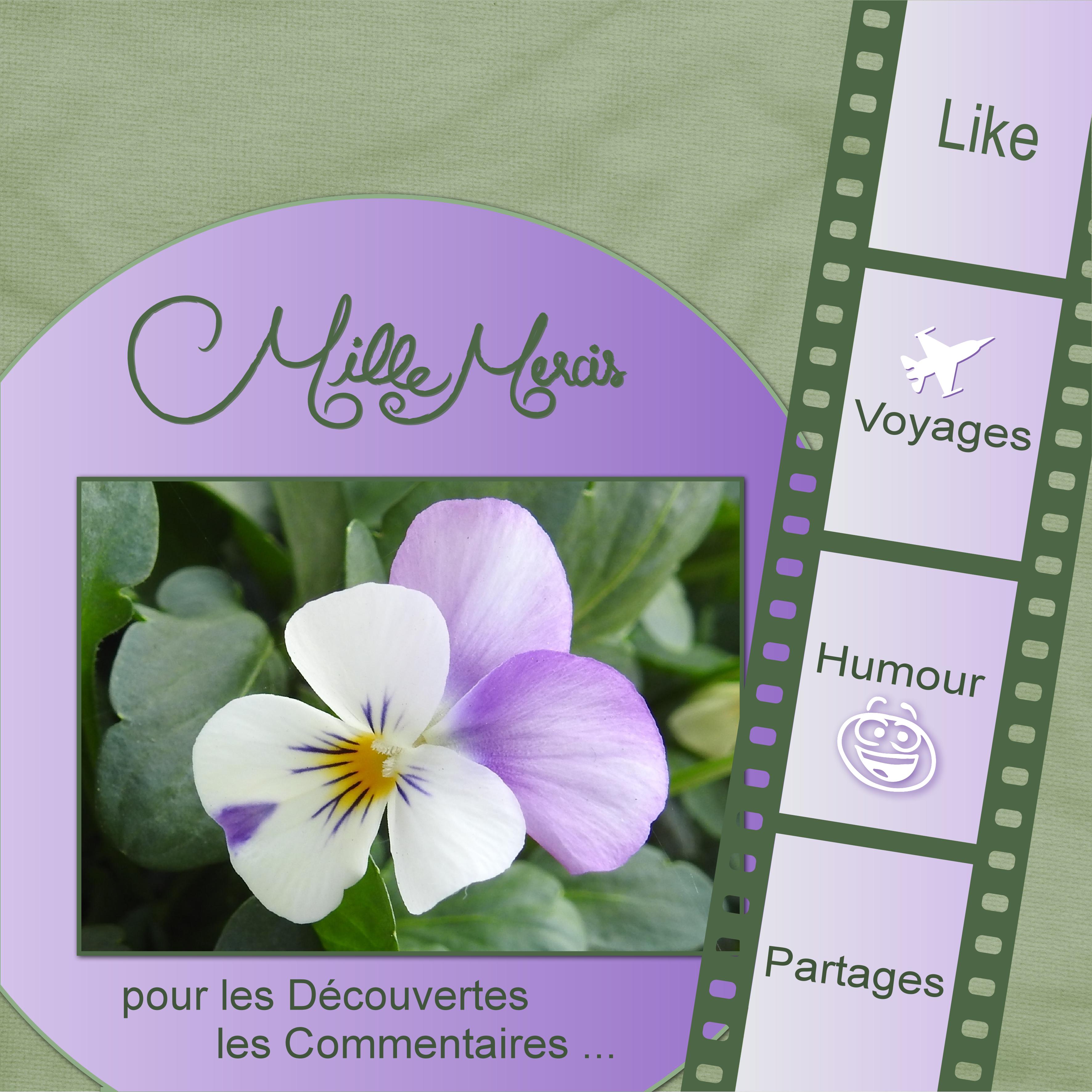 j - MILLE MERCIS.jpg