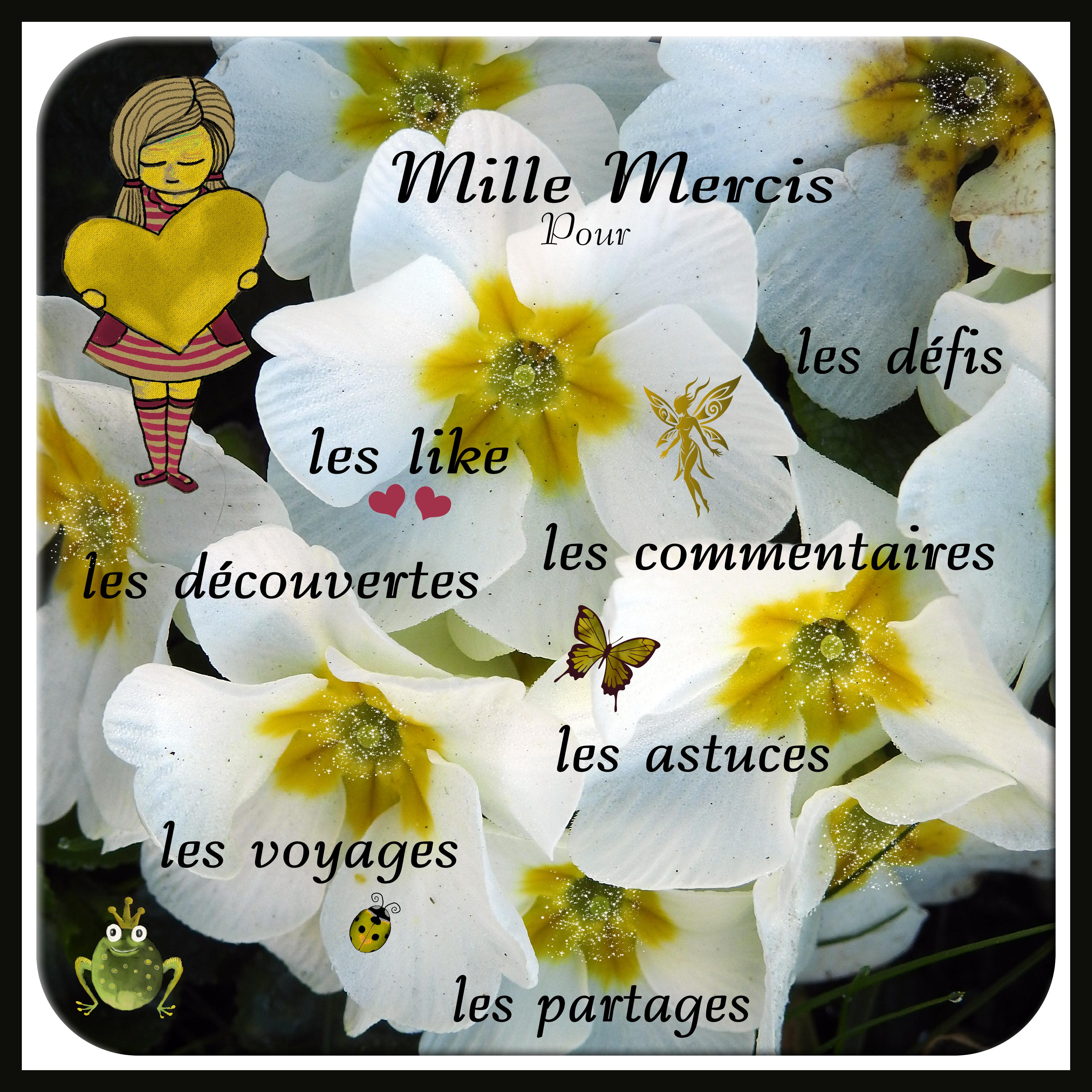 J - MILLE MERCIS POUR.jpg