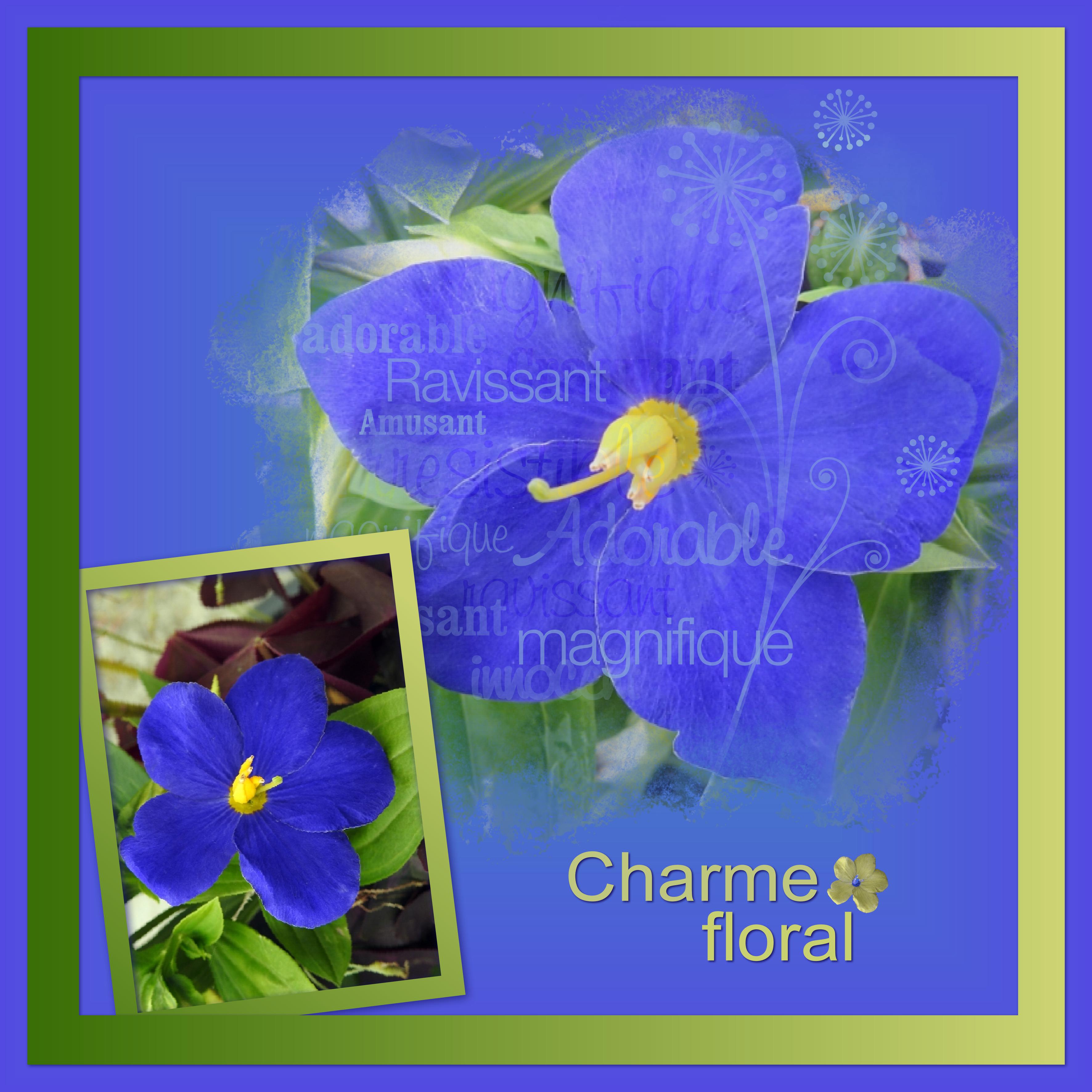 J-n-22 - CHARME FLORAL.jpg