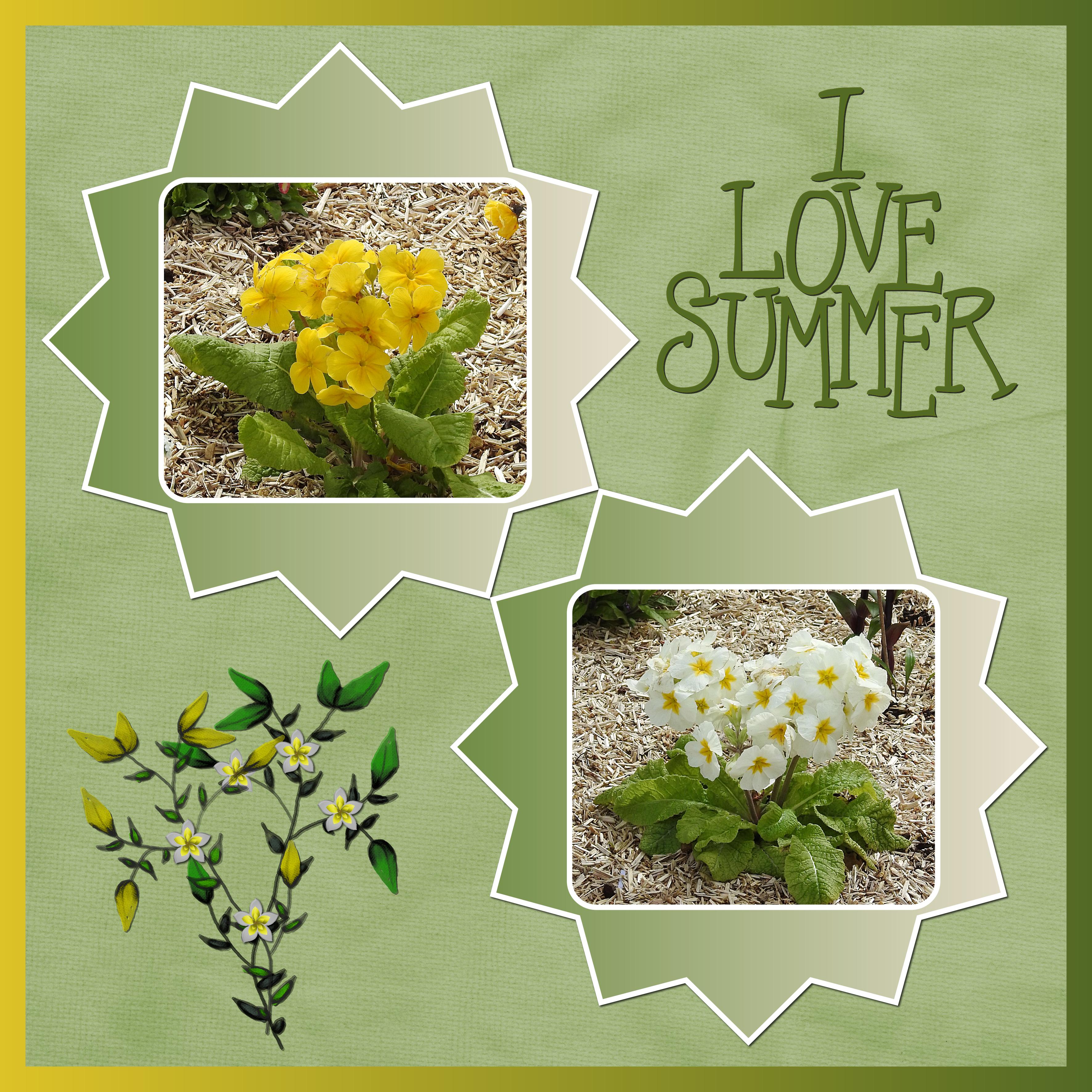 J-n1 - I LOVE SUMMER .jpg