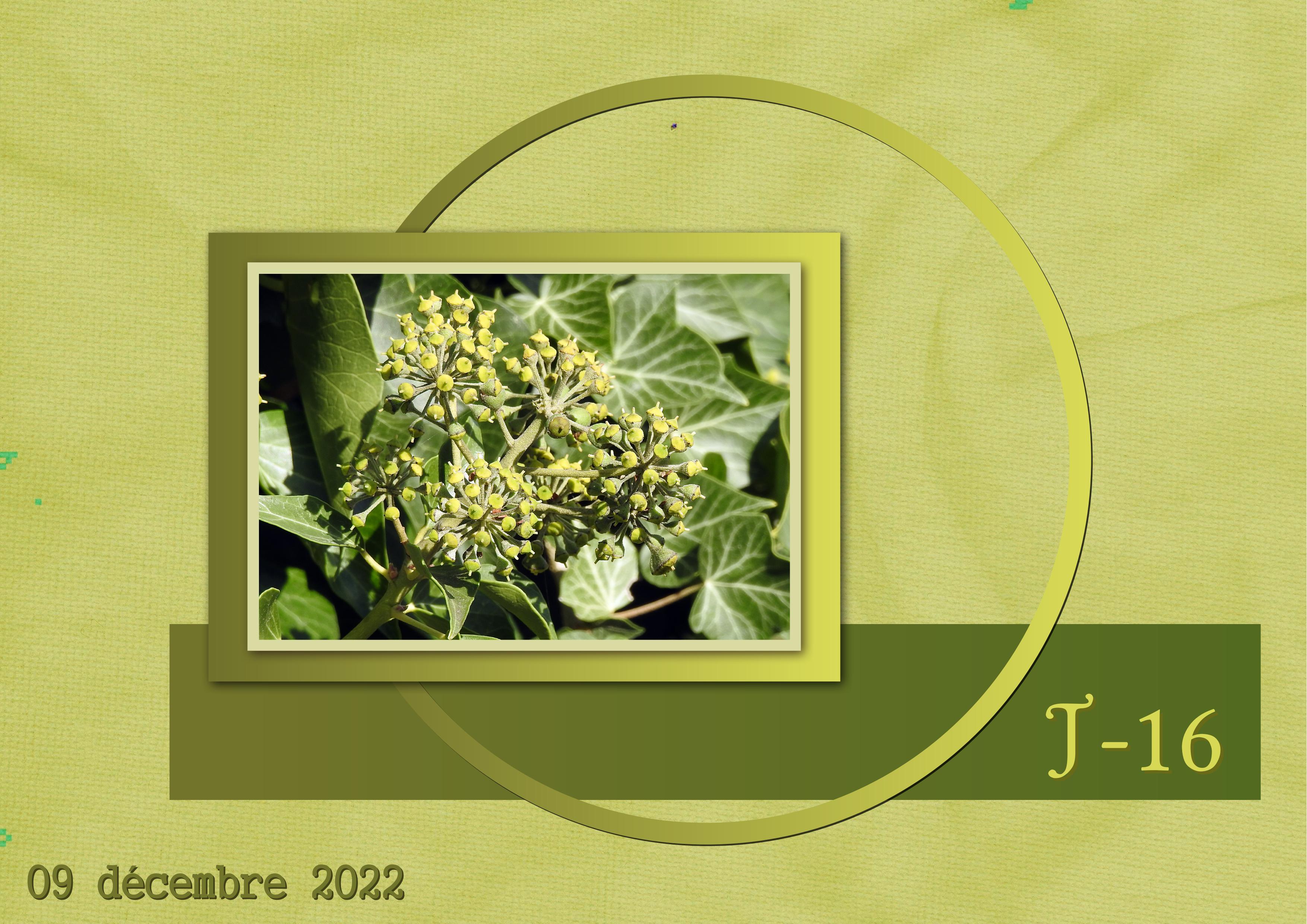 J-N10 - AVENT-16.jpg