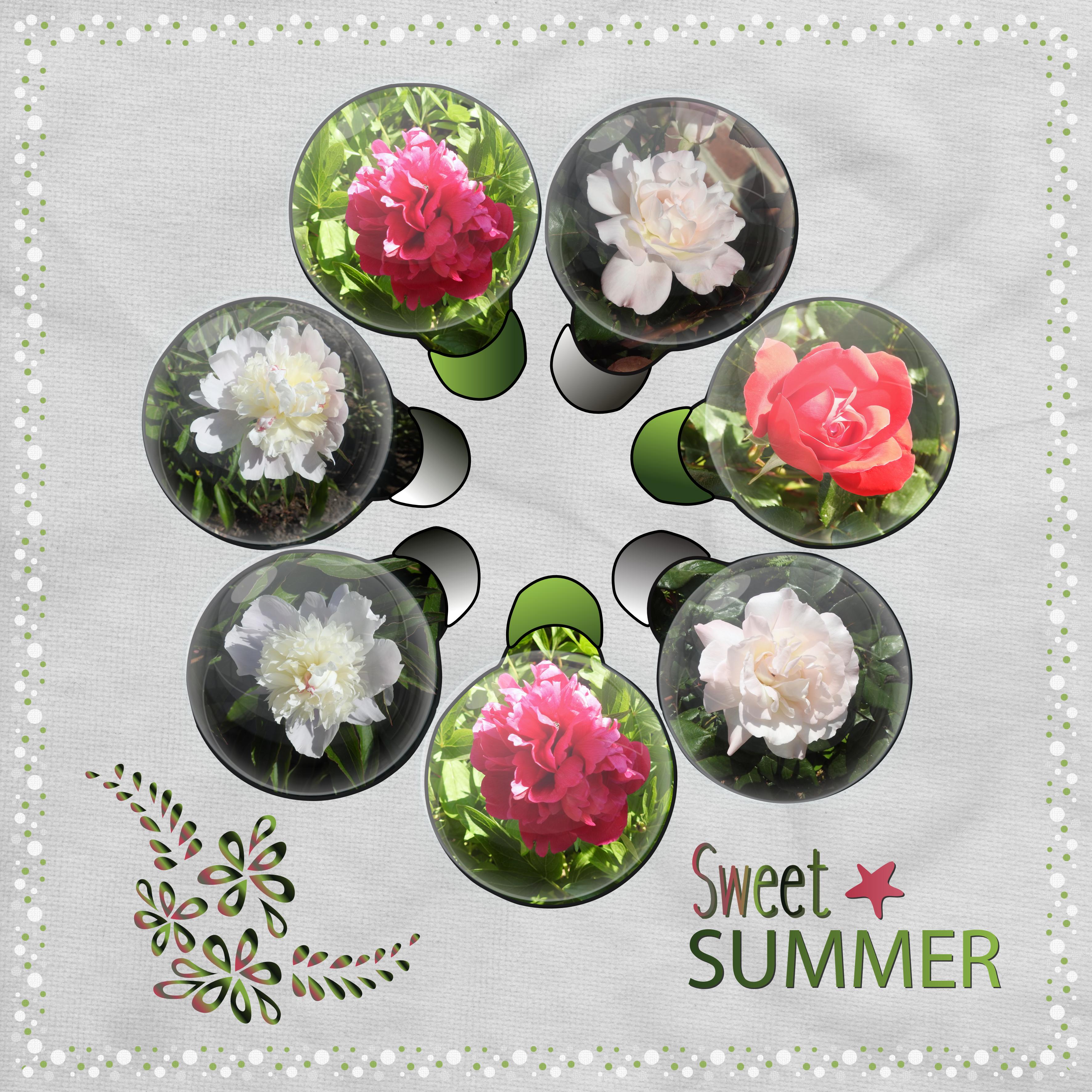 J-n10 - SWEET SUMMER.jpg