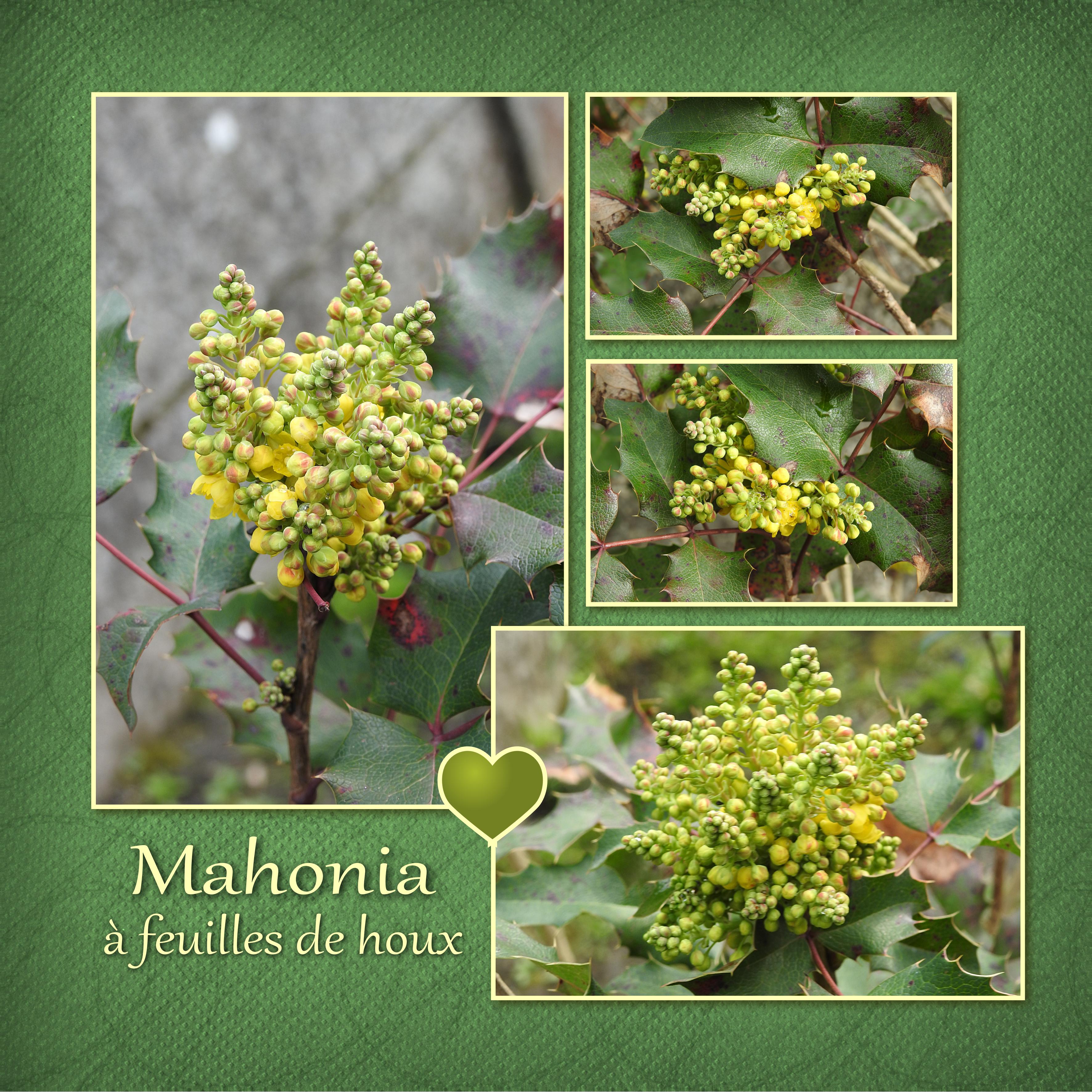 J-n10 - VIVE LE PRINTEMPS (1).jpg