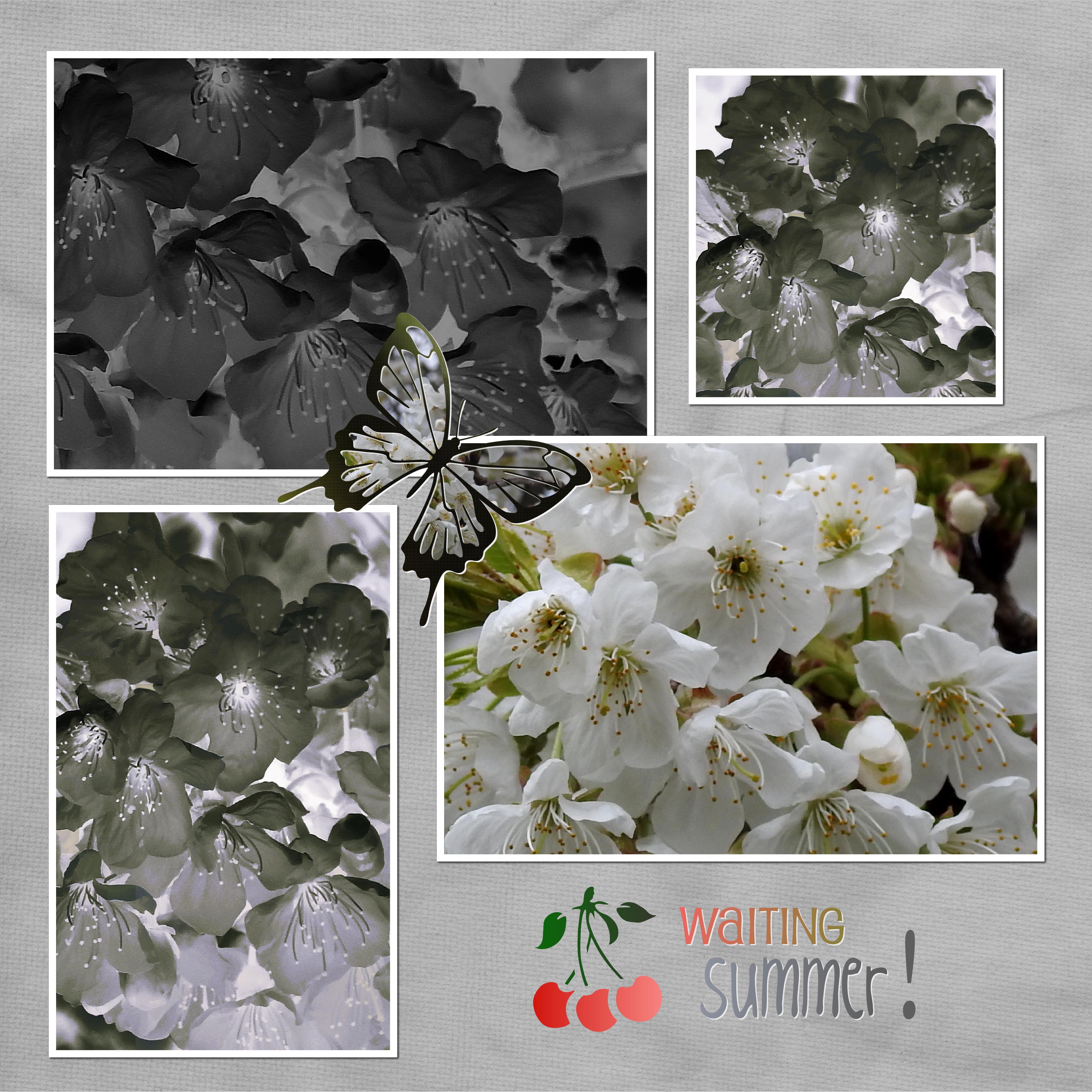 J-n100 - WAITING SUMMER.jpg