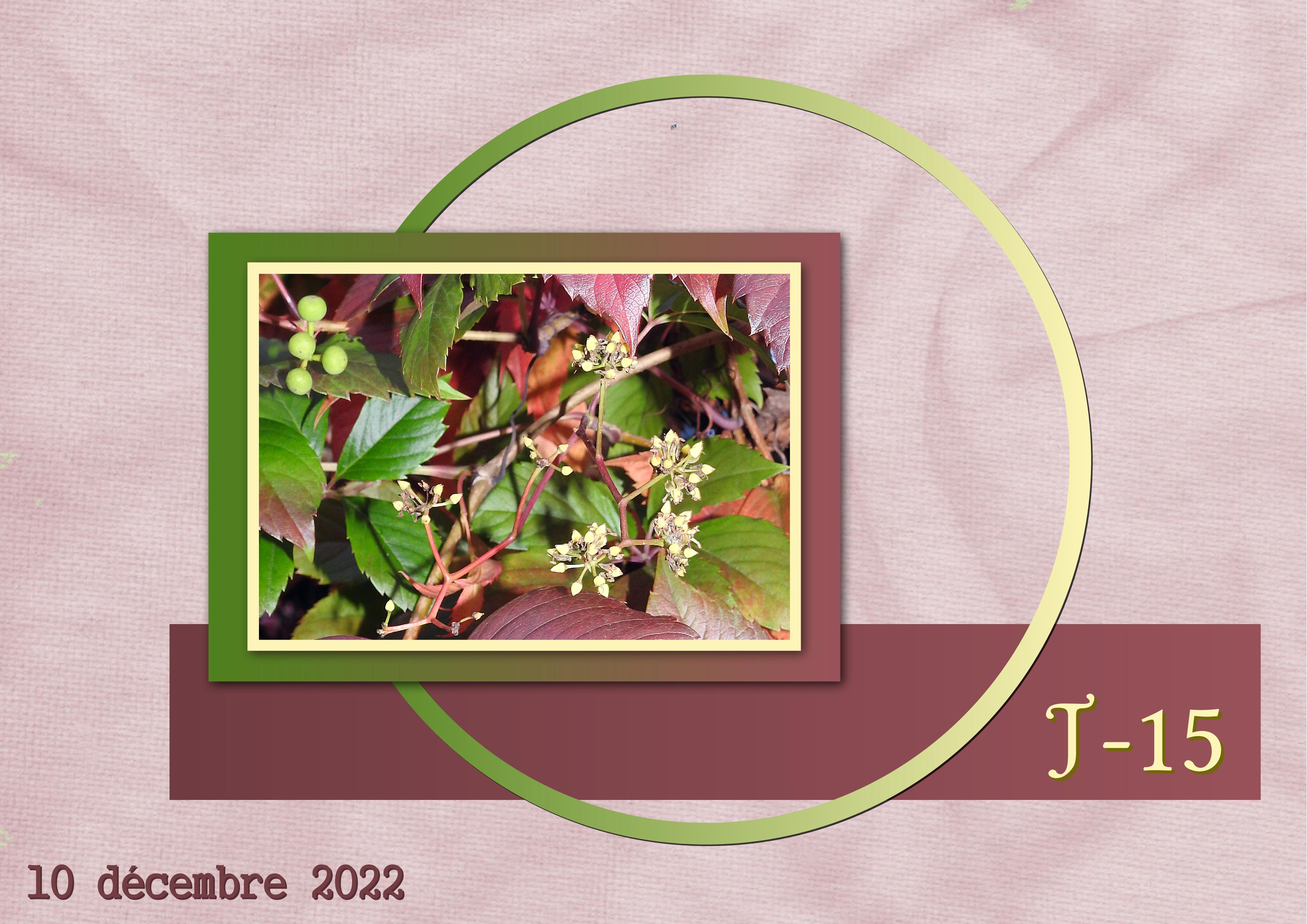 J-N11 - AVENT-15.jpg