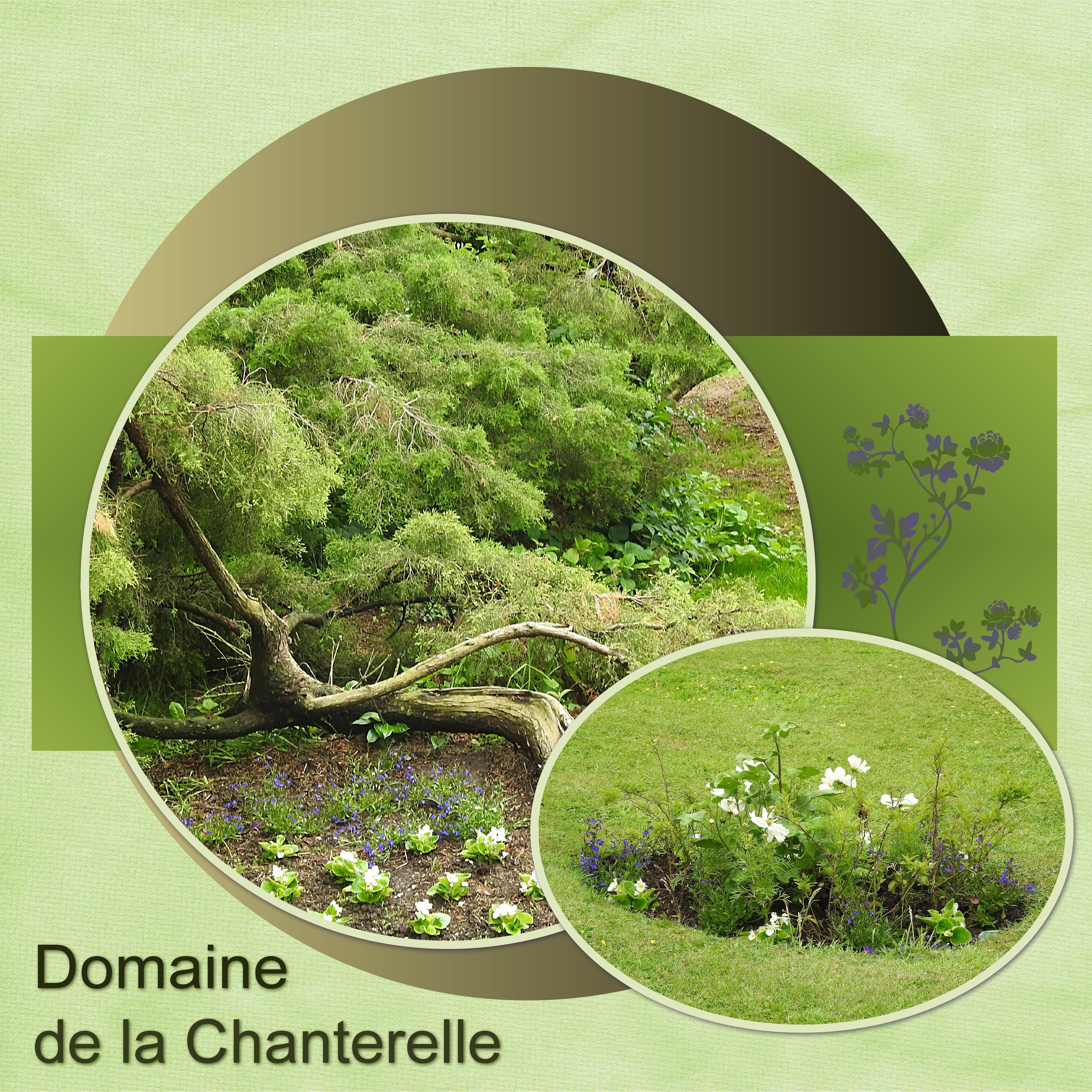 J-n11 - DOMAINE DE LA CHANTERELLE.jpg