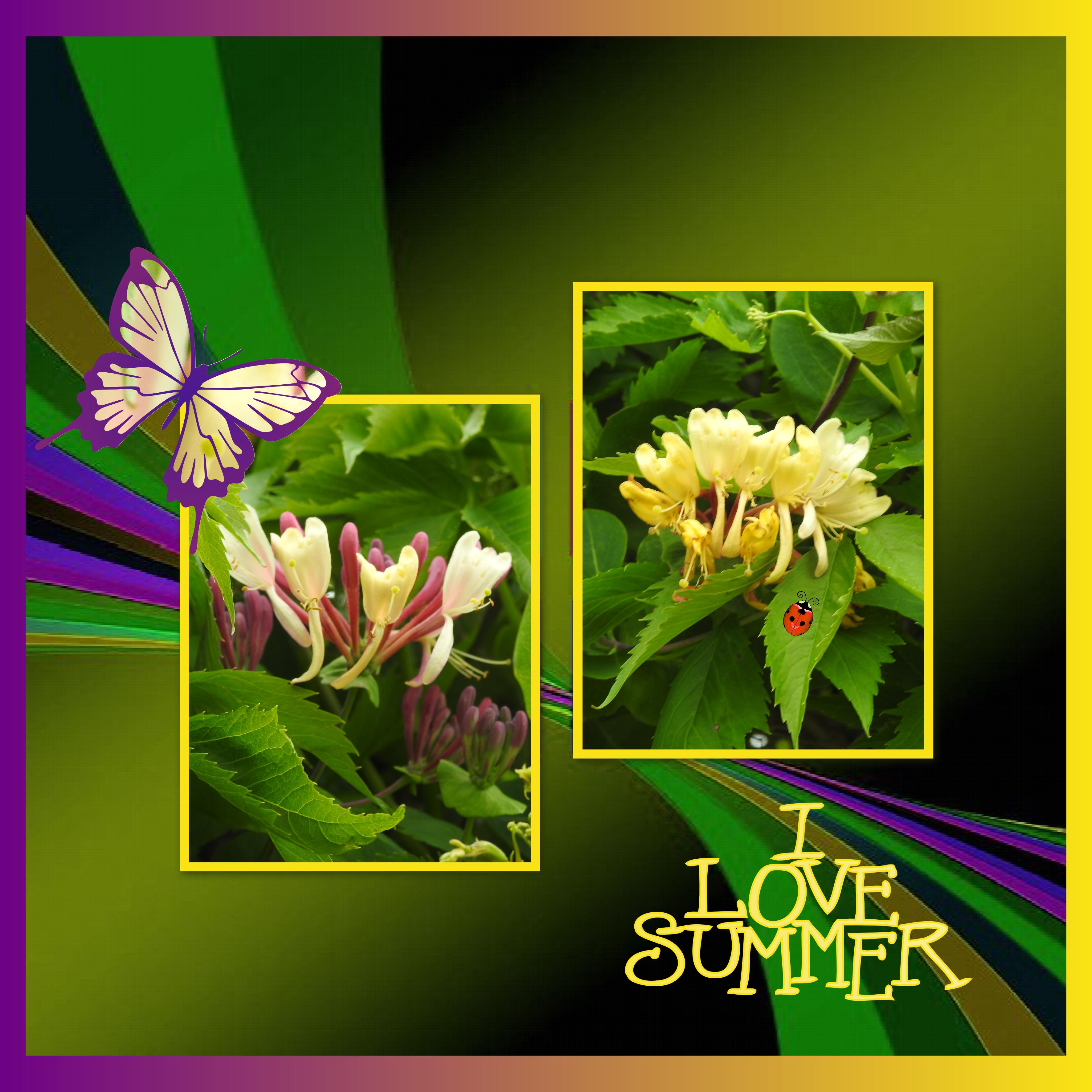 J-n11 - I LOVE SUMMER.jpg