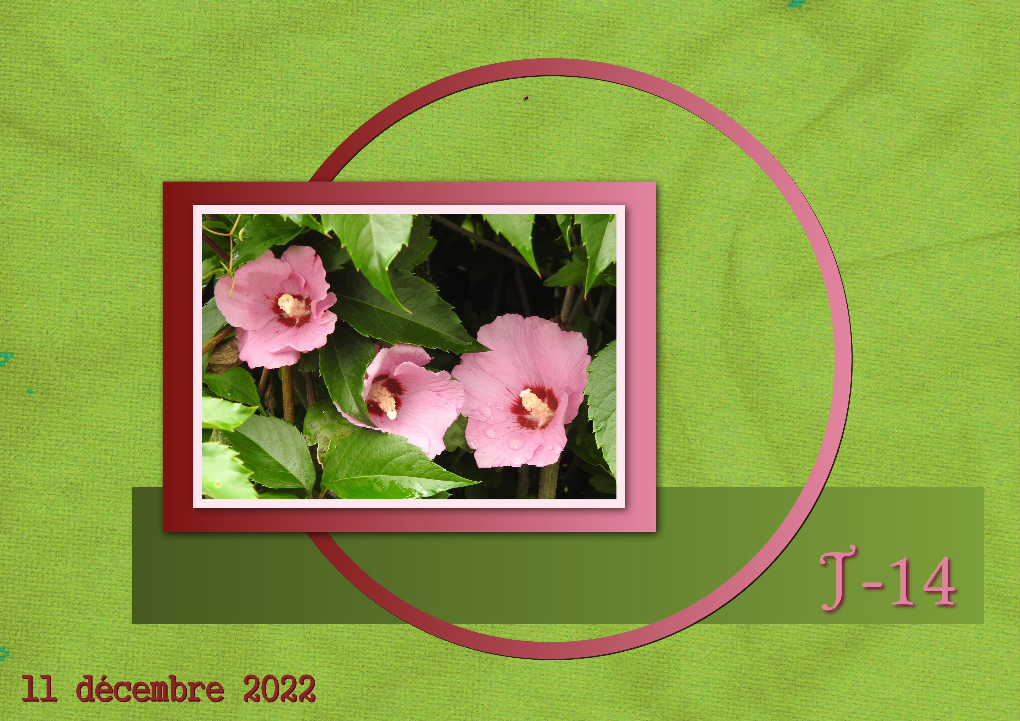 J-N12 - AVENT-14.jpg