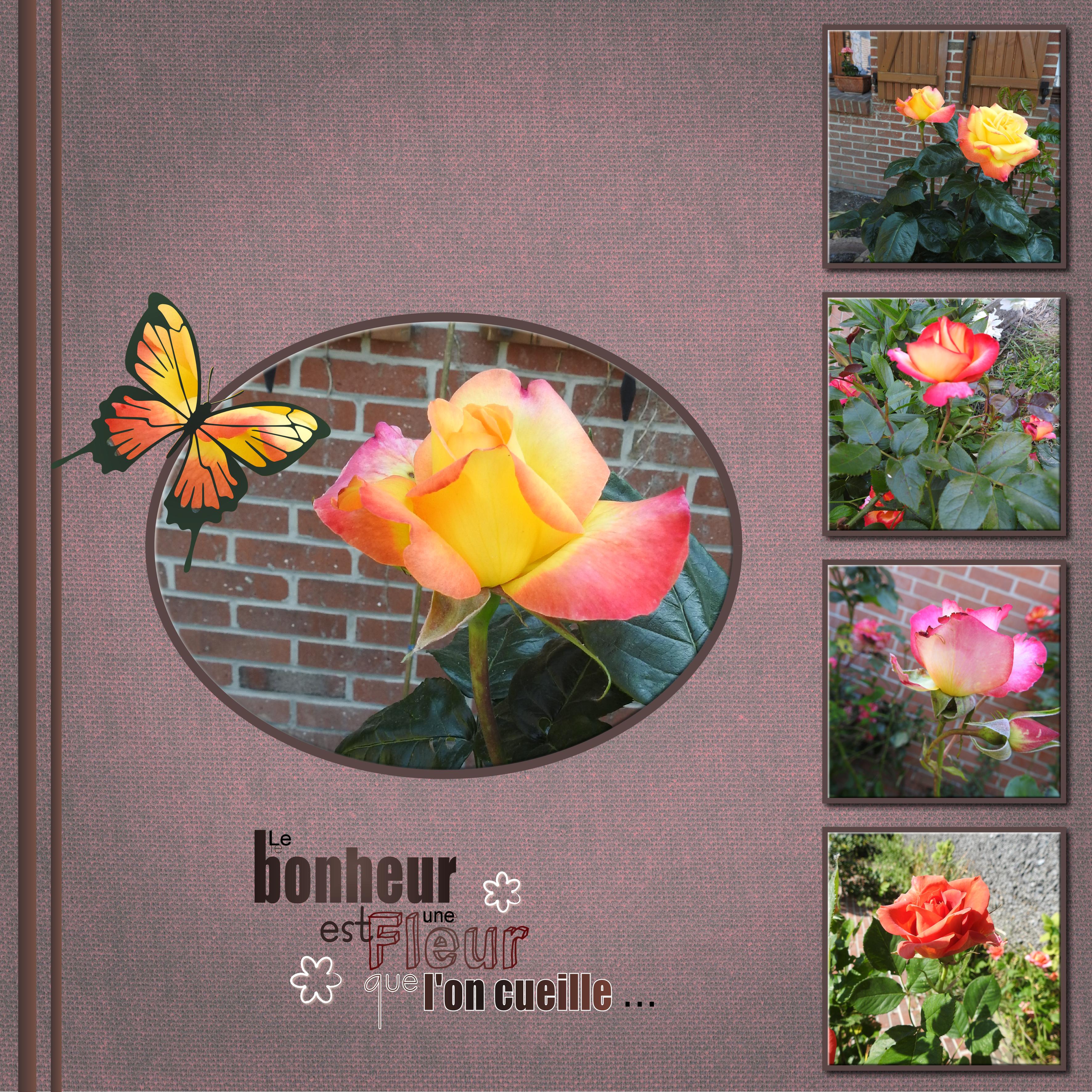 J-n12 - LE BONHEUR EST ....jpg