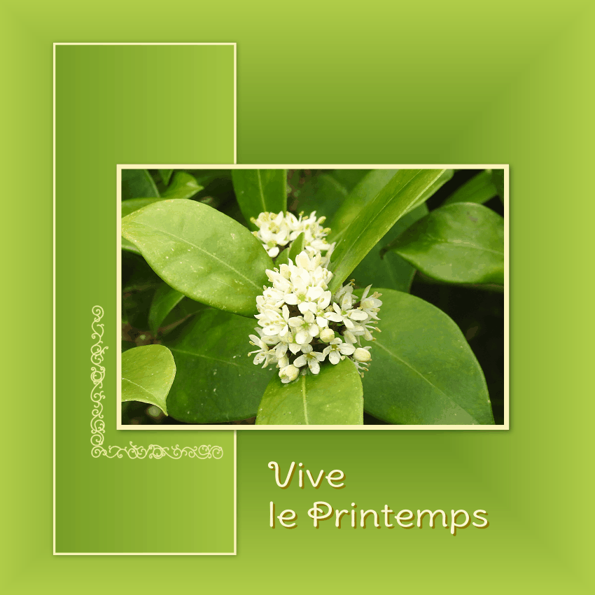 J-n12 - VIVE LE PRINTEMPS (3).gif