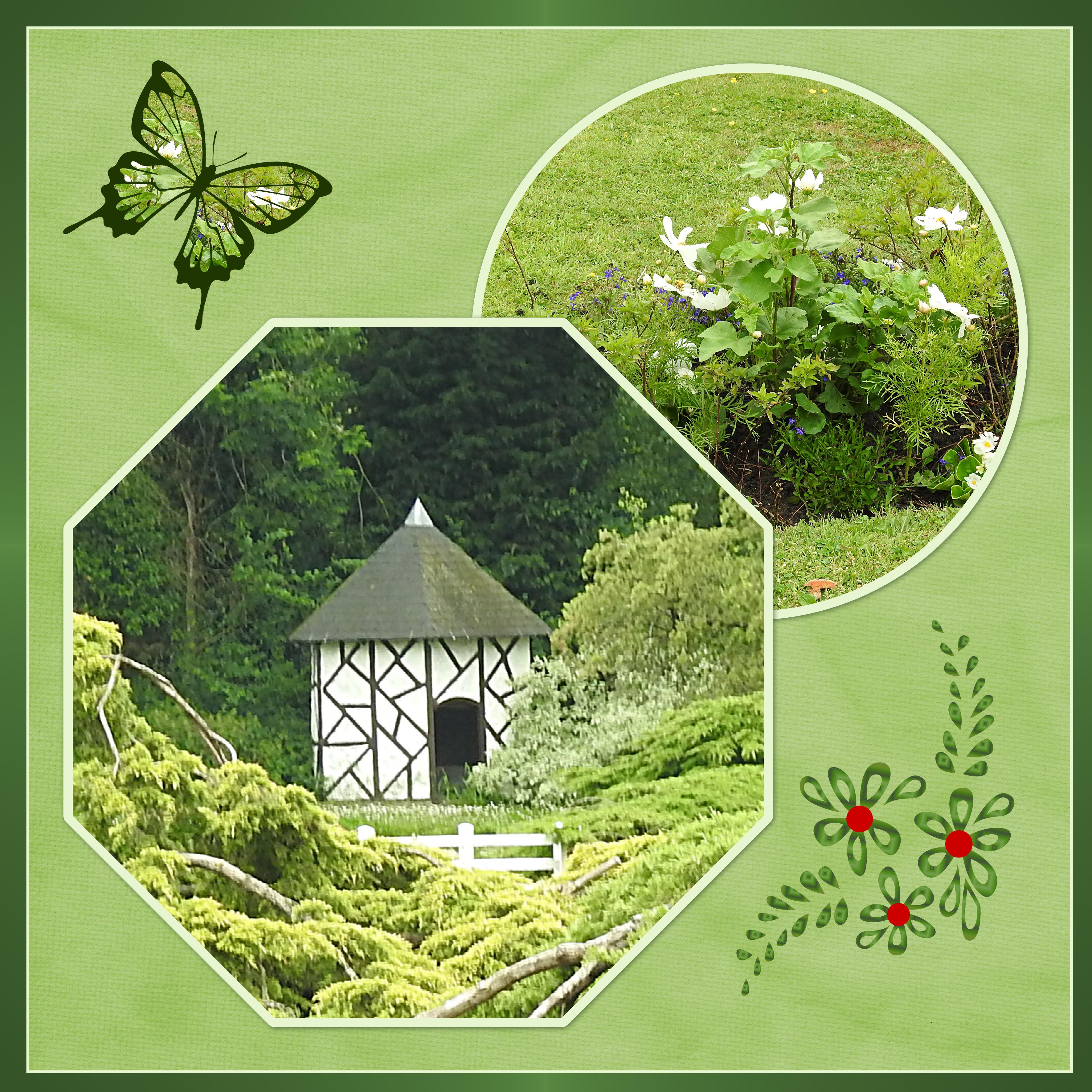 J-n13 - DOMAINE DE LA CHANTERELLE.jpg