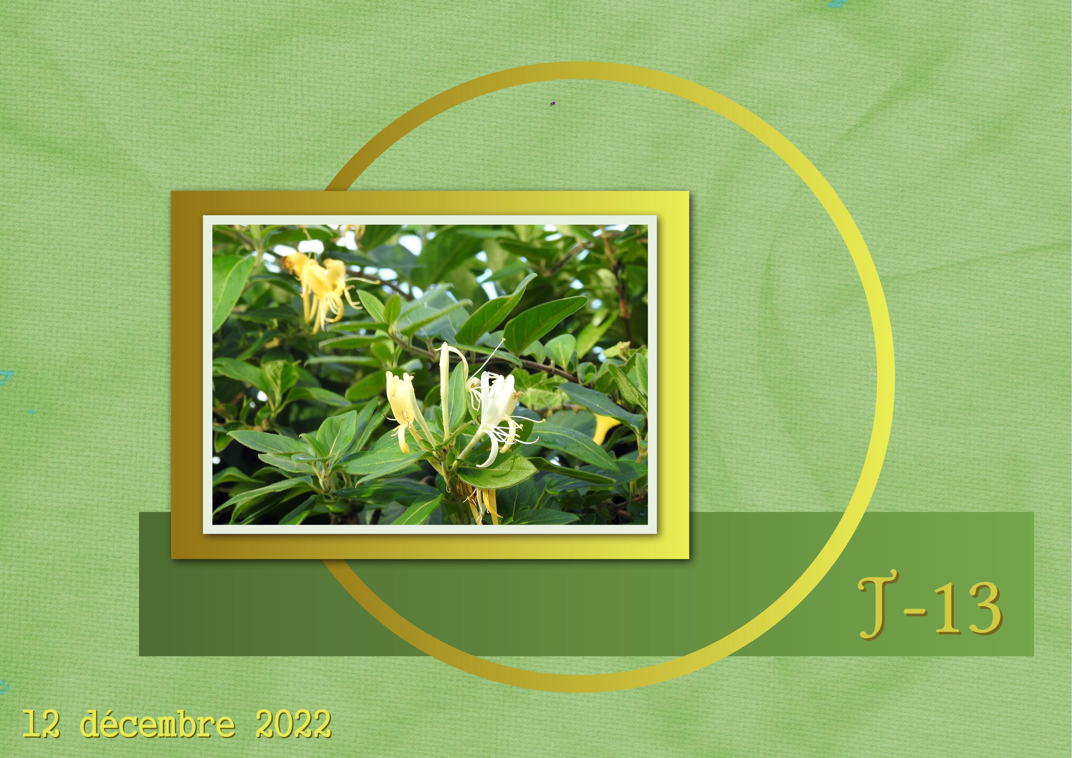 J-N14 - AVENT-13.jpg