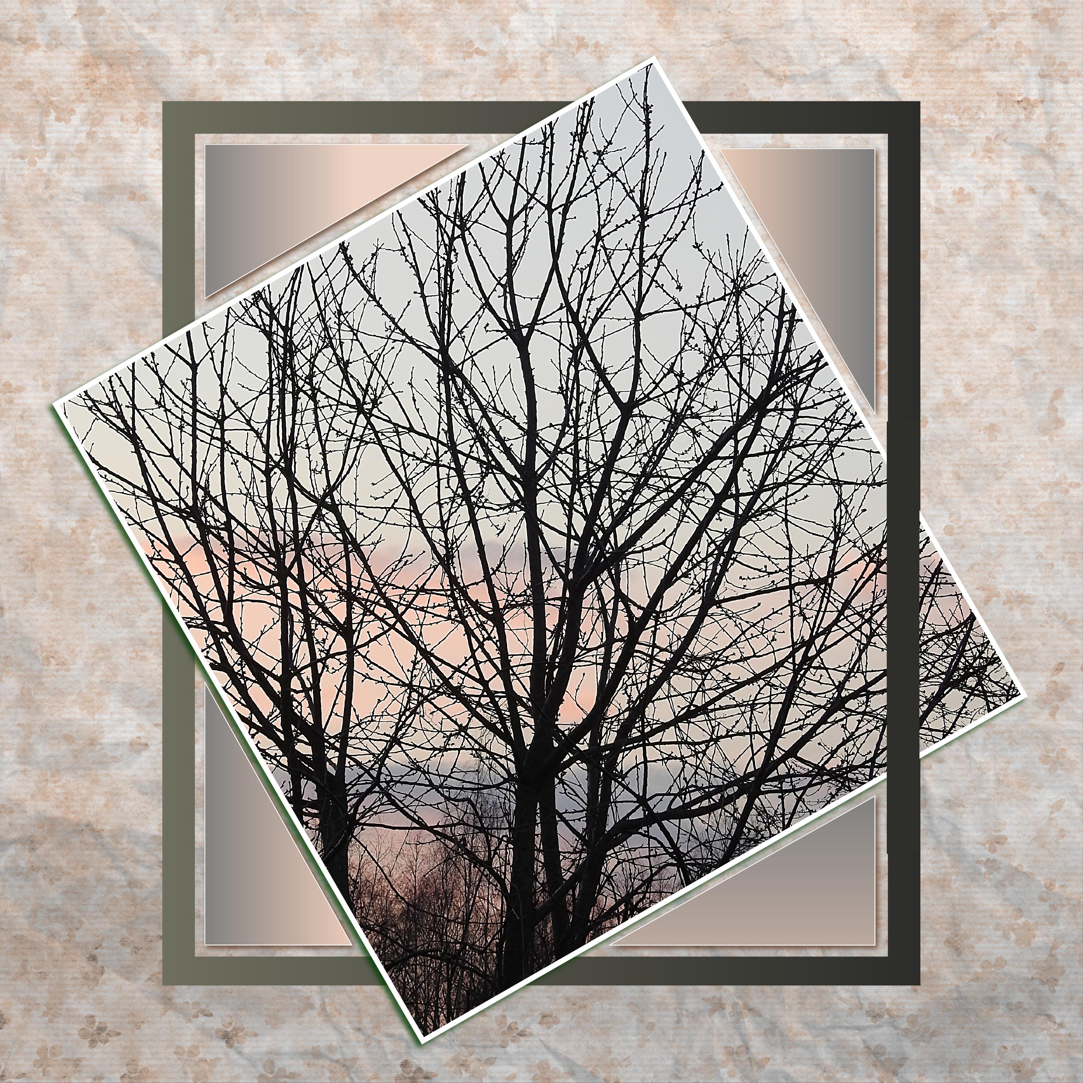 J-n14 - CREPUSCULE.jpg