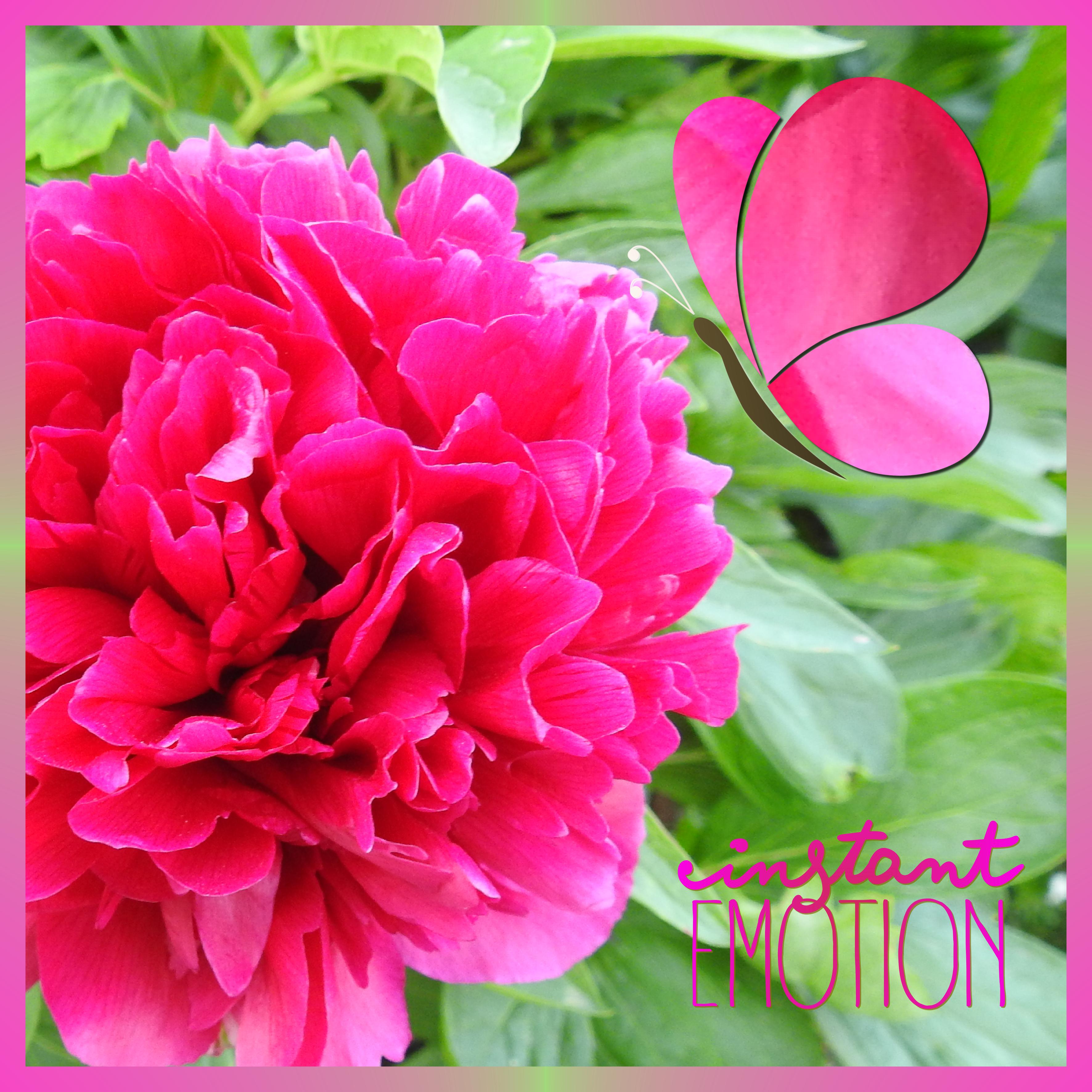 J-n14 - INSTANT EMOTION.jpg