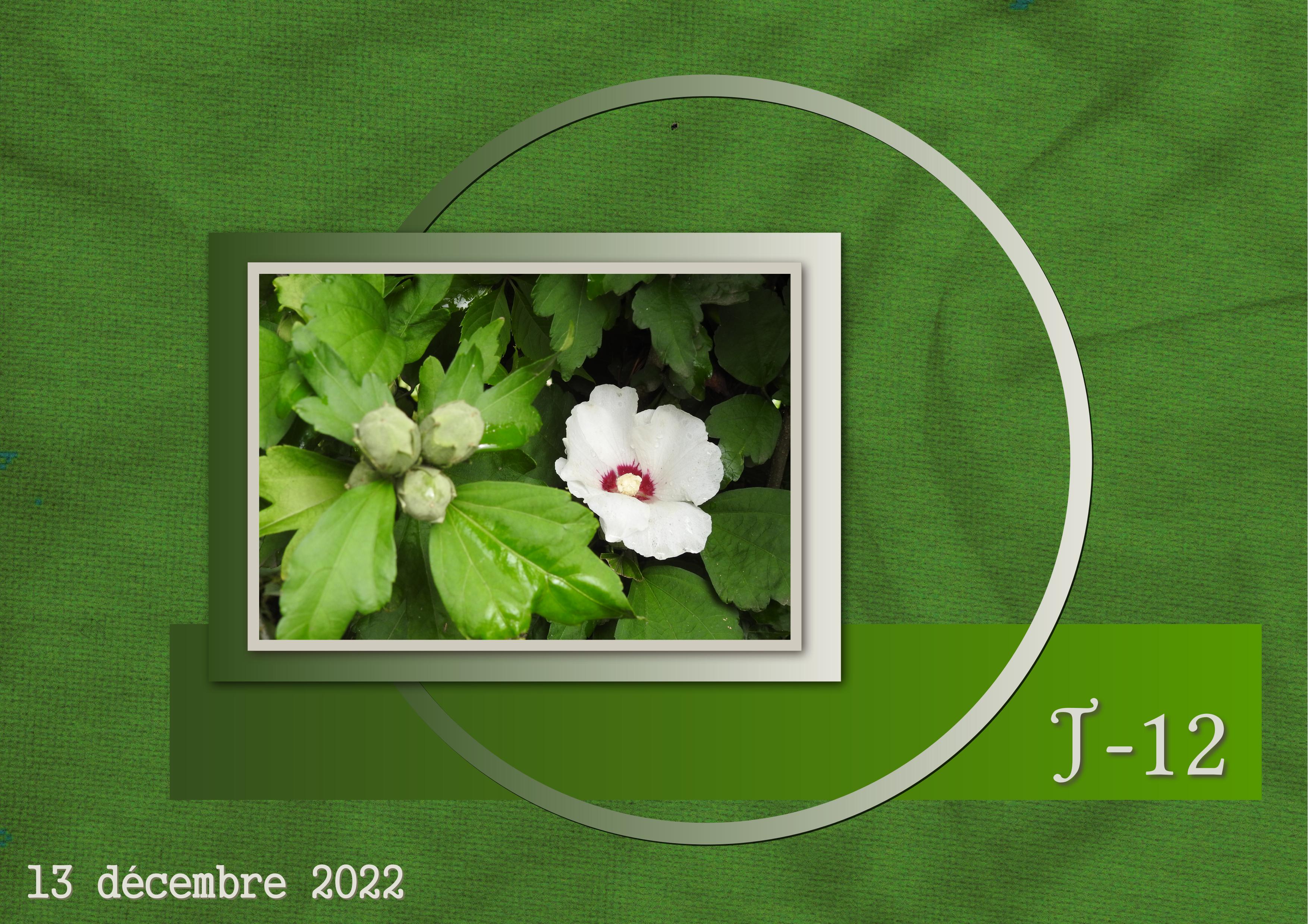 J-N15 - AVENT-12.jpg