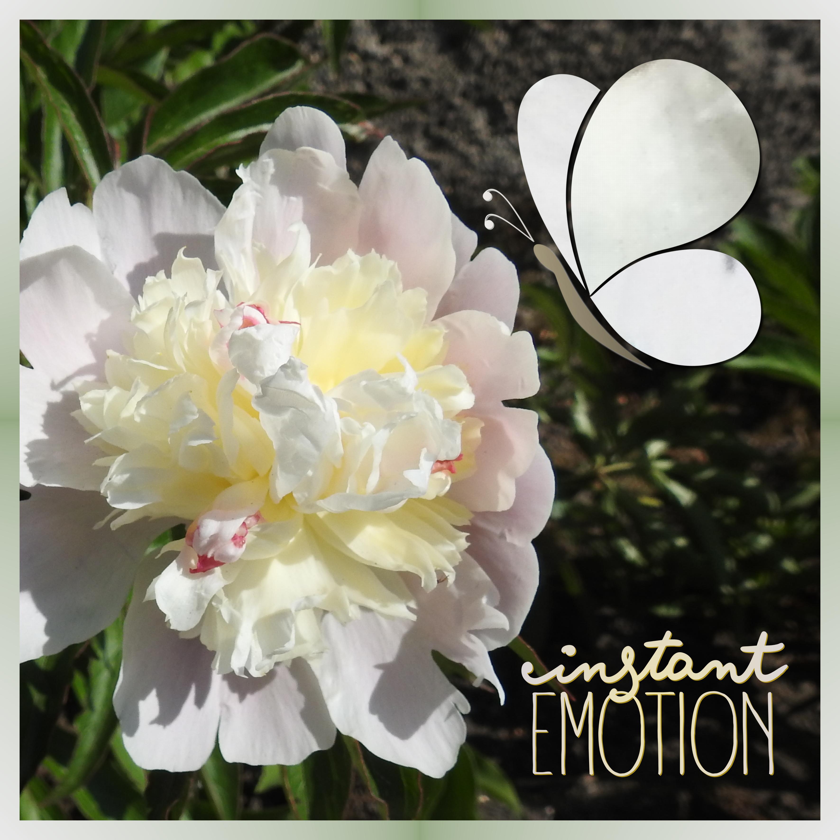 J-n16  - INSTANT EMOTION.jpg