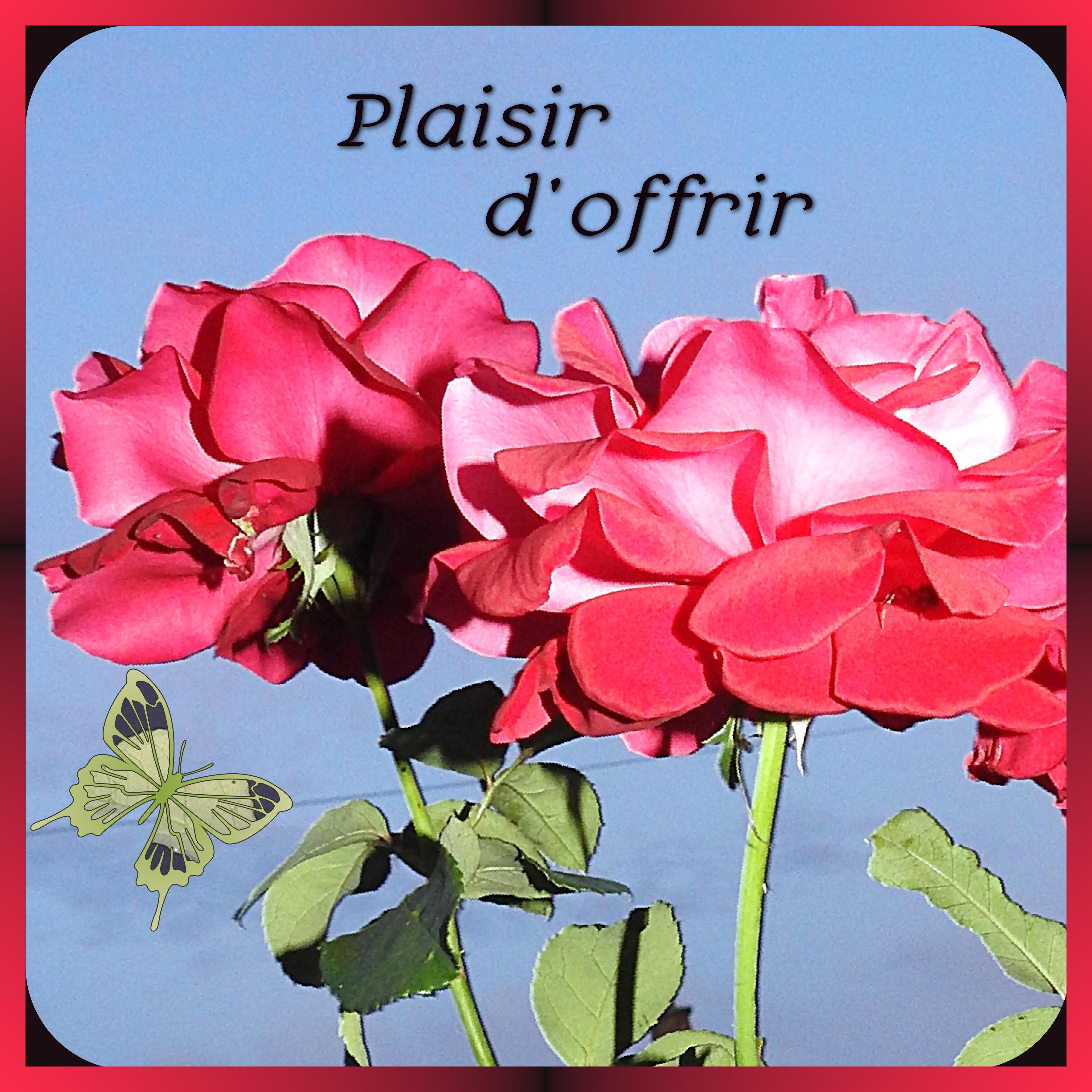 J-n17 - PLAISIR D'OFFRIR.jpg